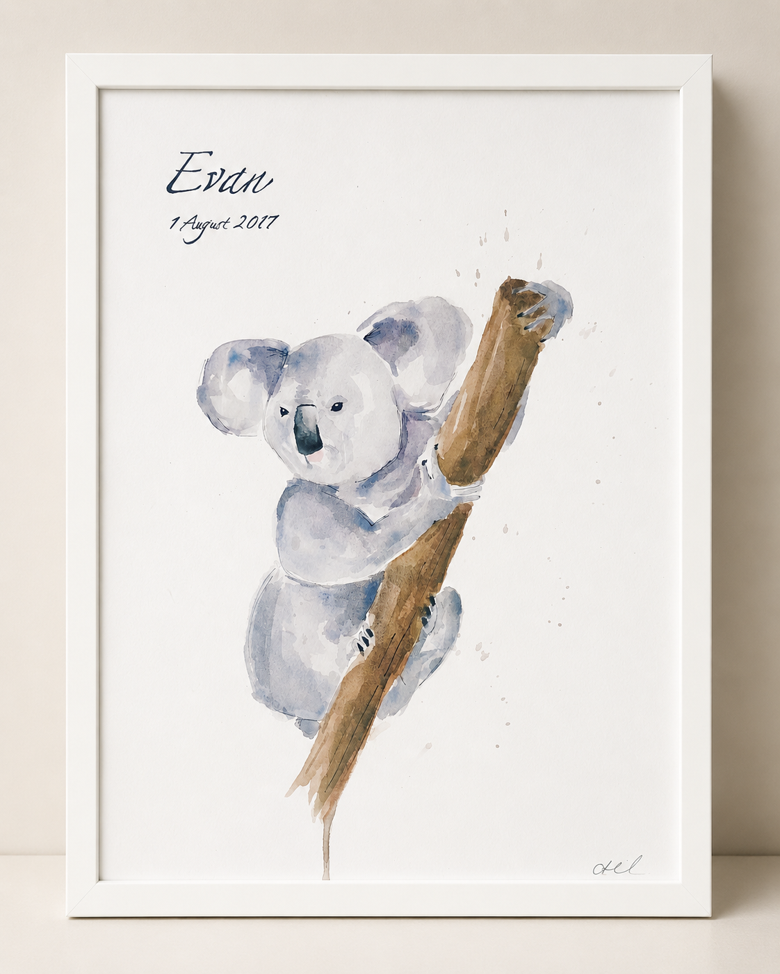 Koala