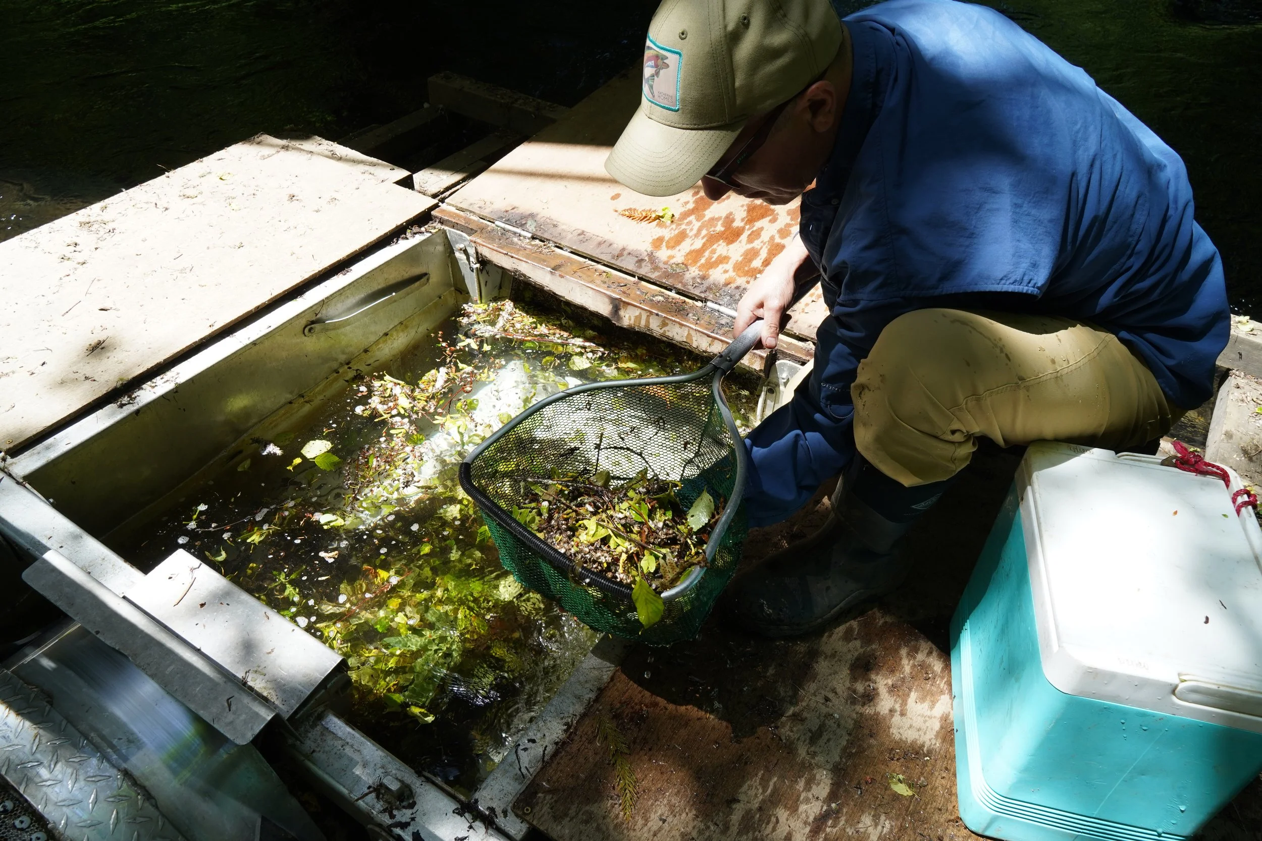 Fish Biologist-RAW.JPG