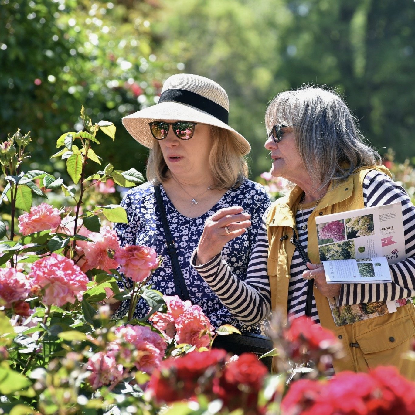 Point Defiance Flower & Garden Festival  |  
Ticket Tomato  |  2022 - 2024  |  
Box Office & Marketing Manager