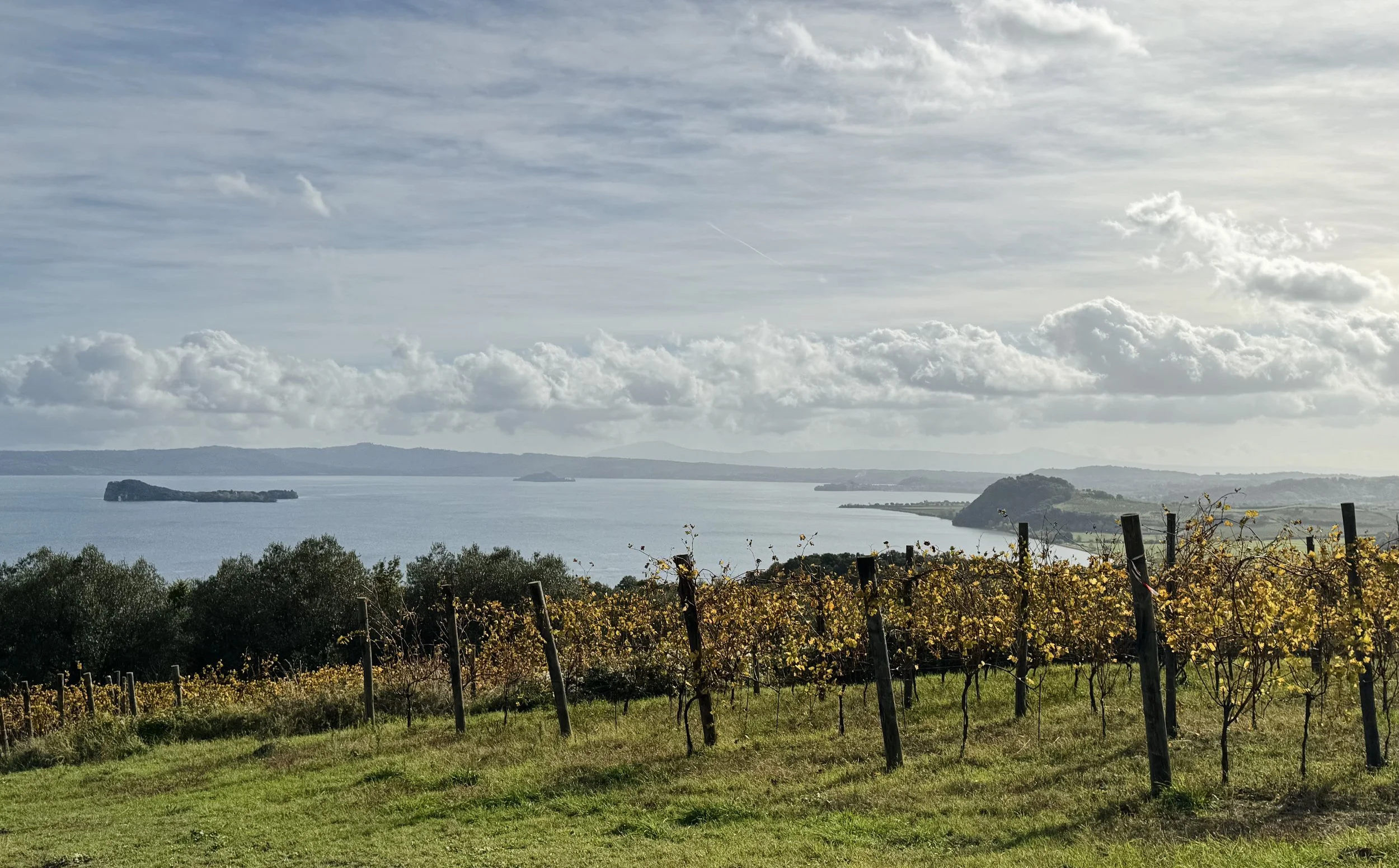 Vineyard overlooking Lake Bolsena in Lazio, Italy, beneath a dramatic sky.
