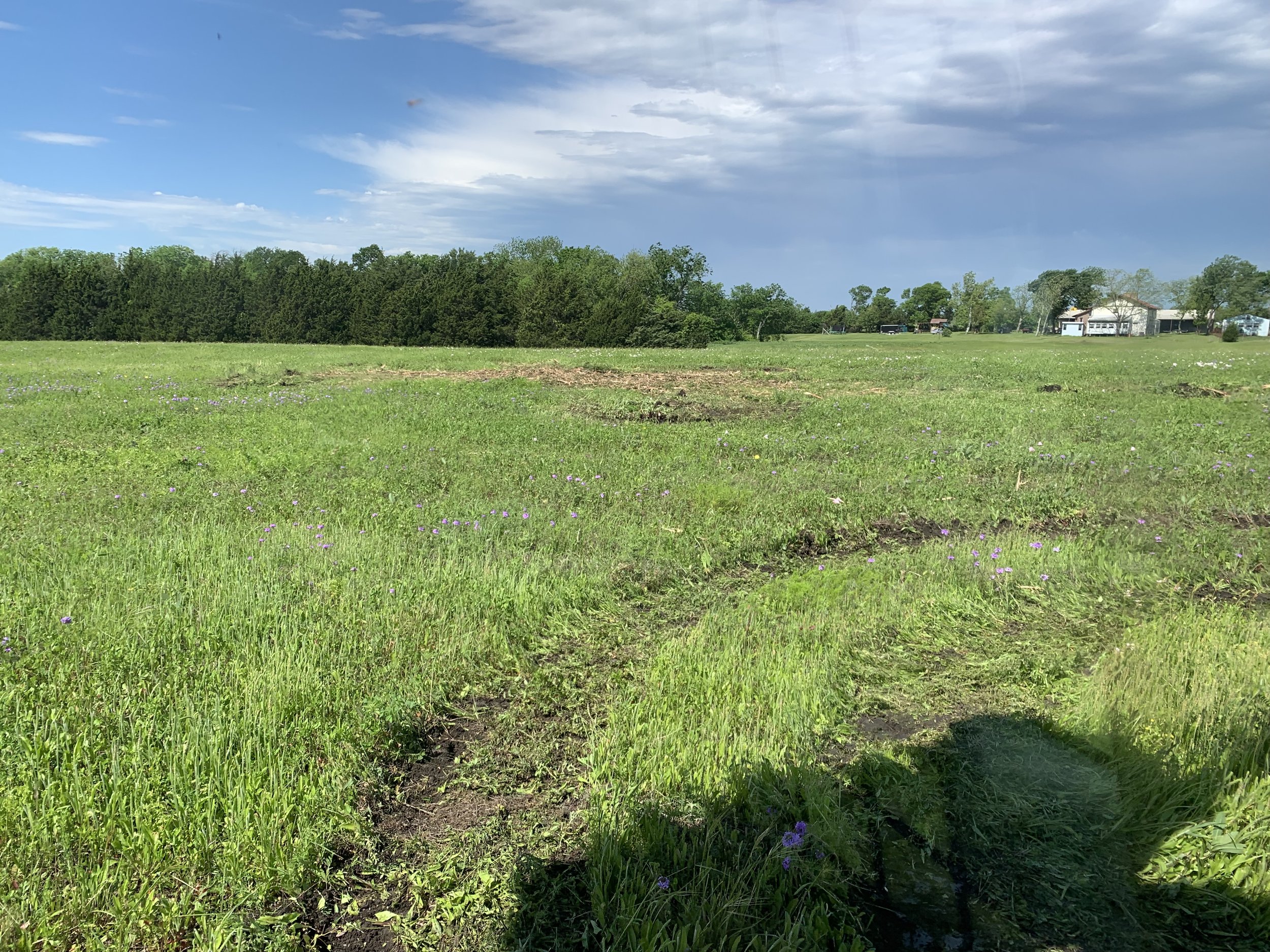 Pasture near Sherman, TX after forestry mulching by Rustin Land Management