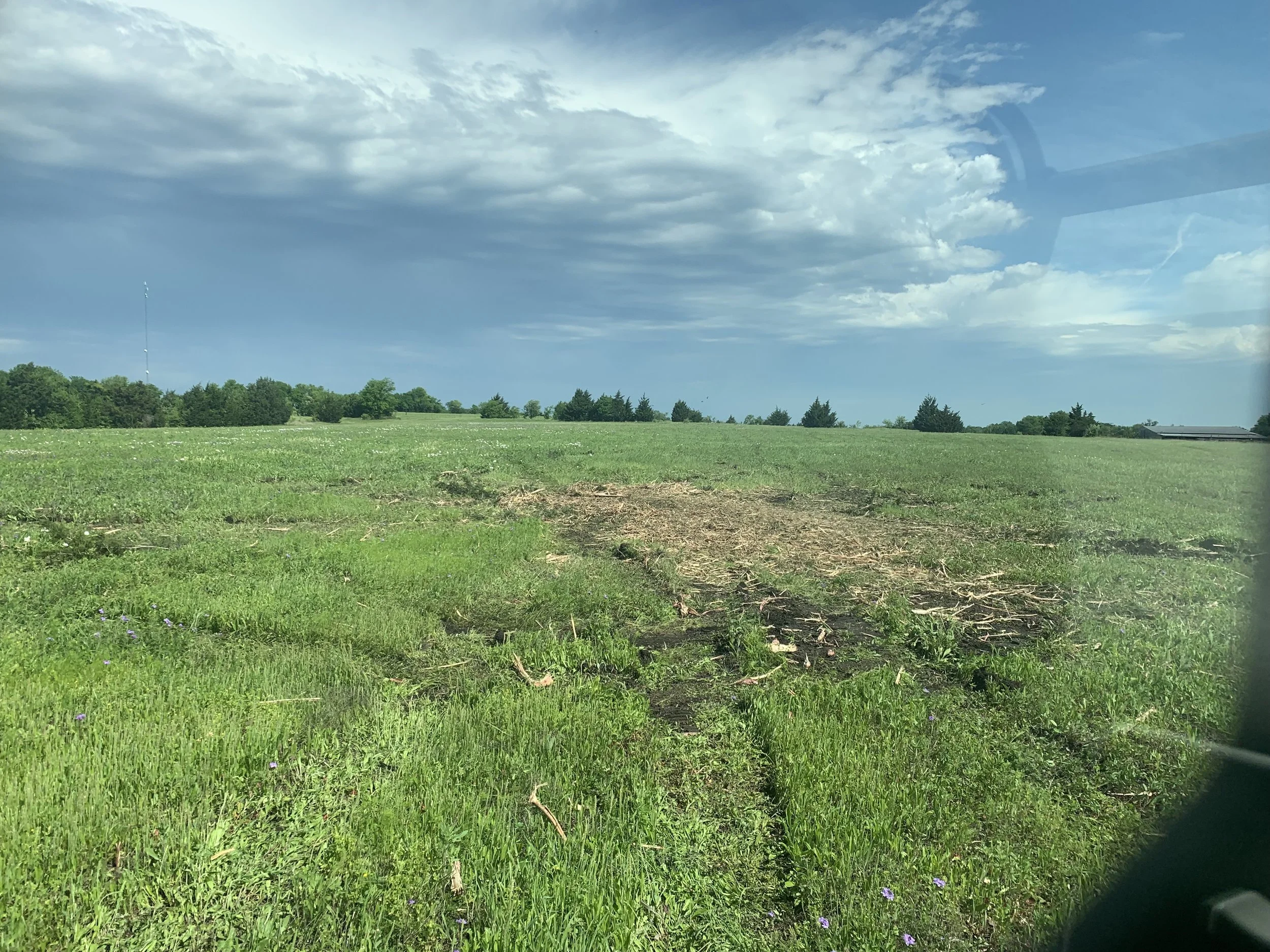 Land Clearing