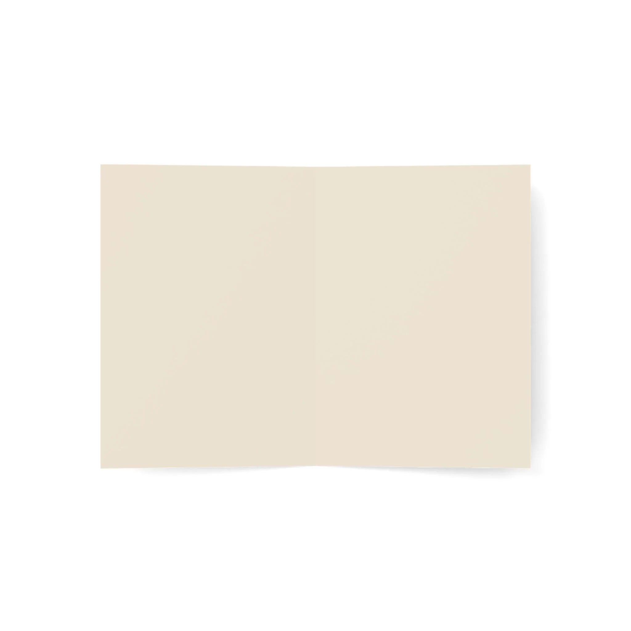d546d47c-f9ce-44e7-92cc-98dcf88b5393.png