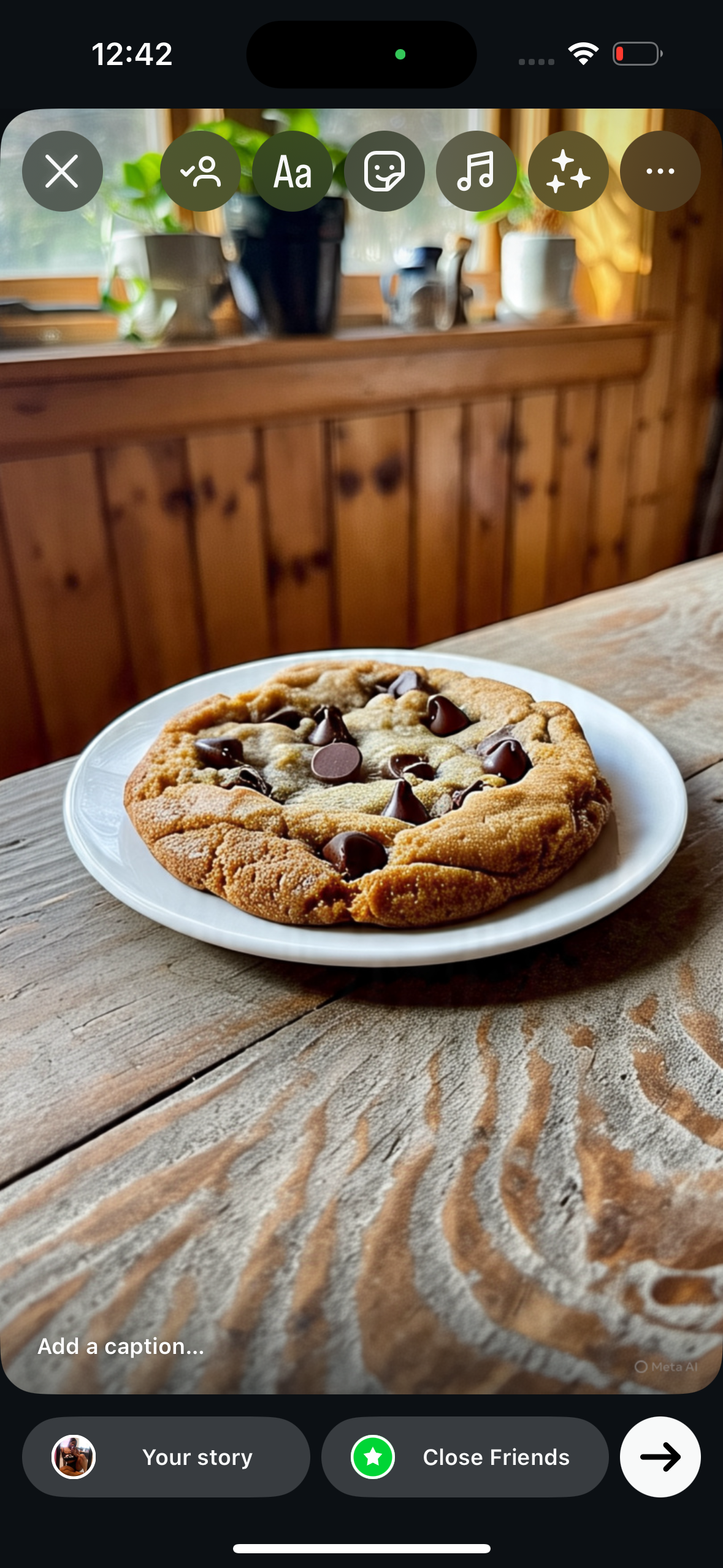 Chocolate Chip
