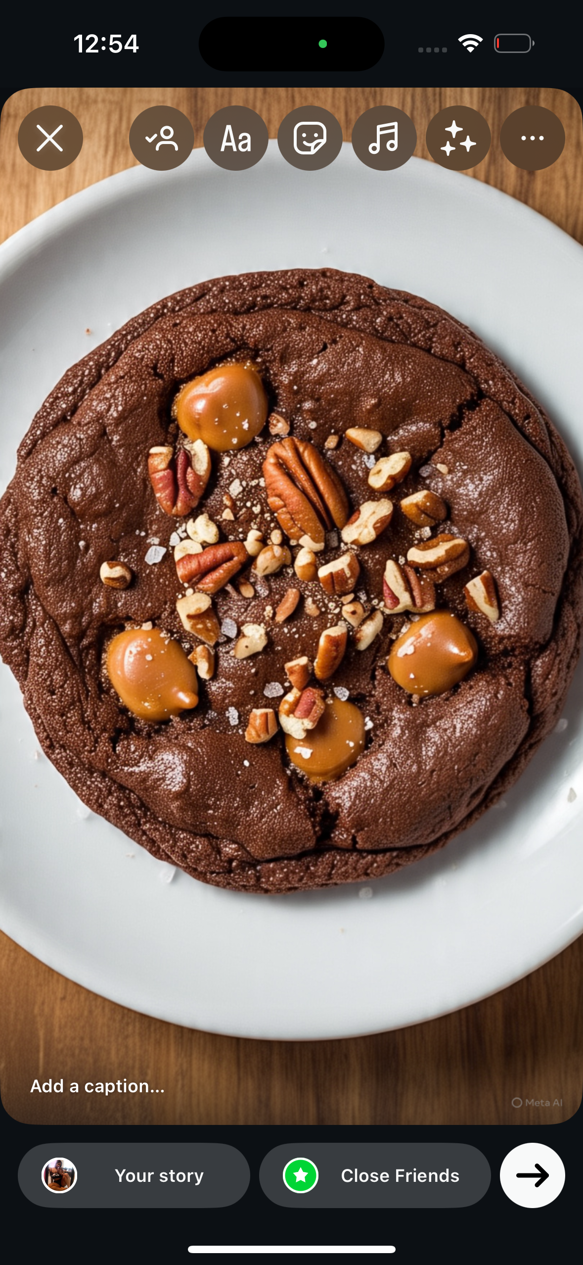 Chocolate Turtle