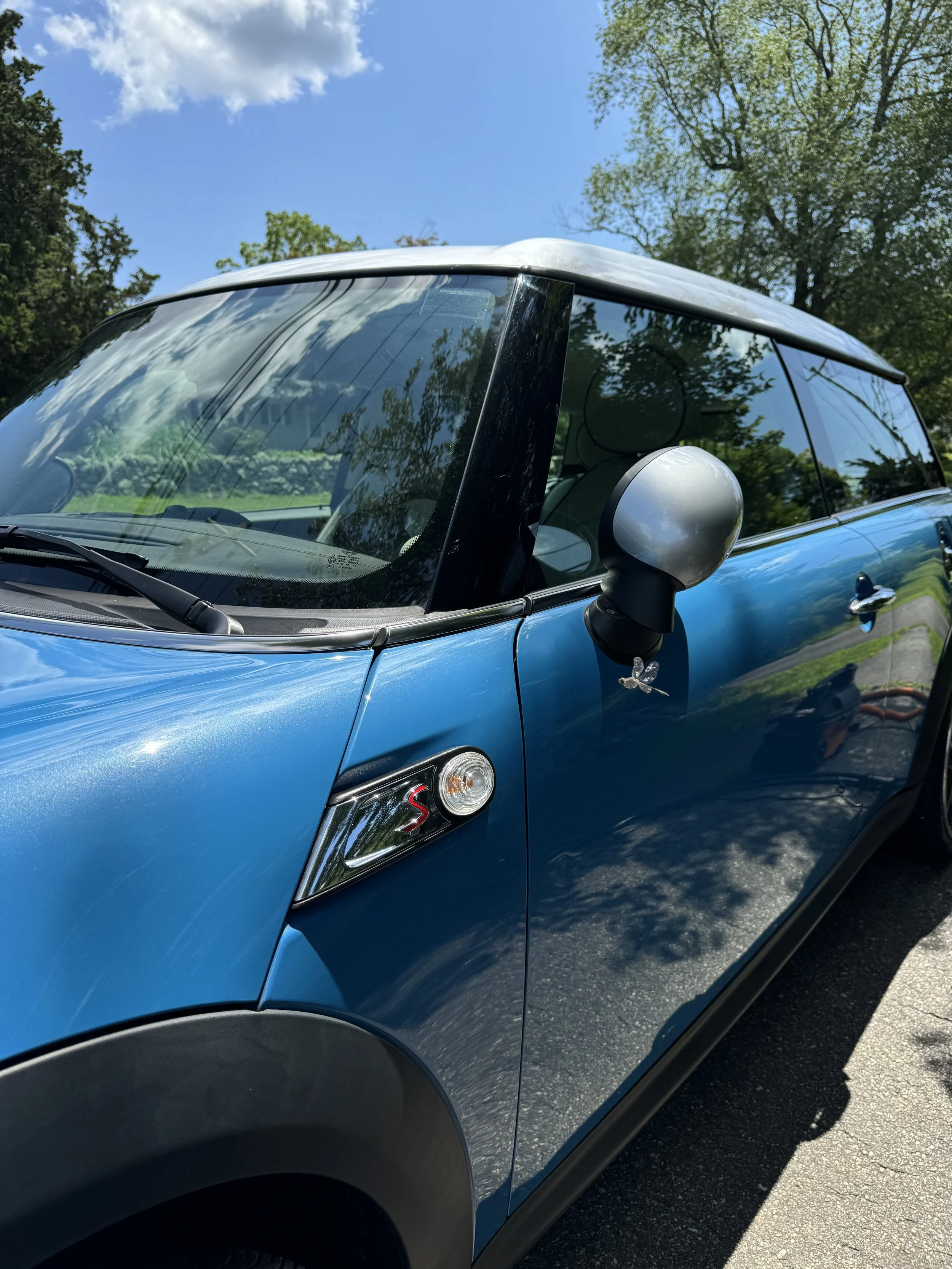 Close-up view of a blue Mini Cooper car with reflections of trees and sky on the windows, parked on a paved surface with a tree and blue sky in the background.