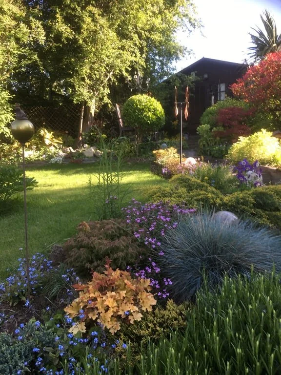 A lush garden with various flowering plants, shrubs, and trees, illuminated by sunlight, featuring a small shed and decorative garden ornaments.