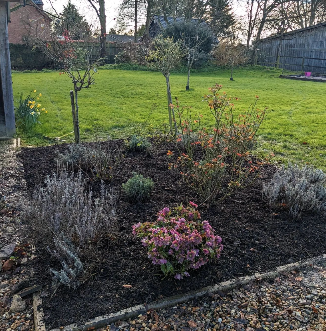 A garden bed with various plants and shrubs, surrounded by a lawn with trees and a wooden fence in the background.
