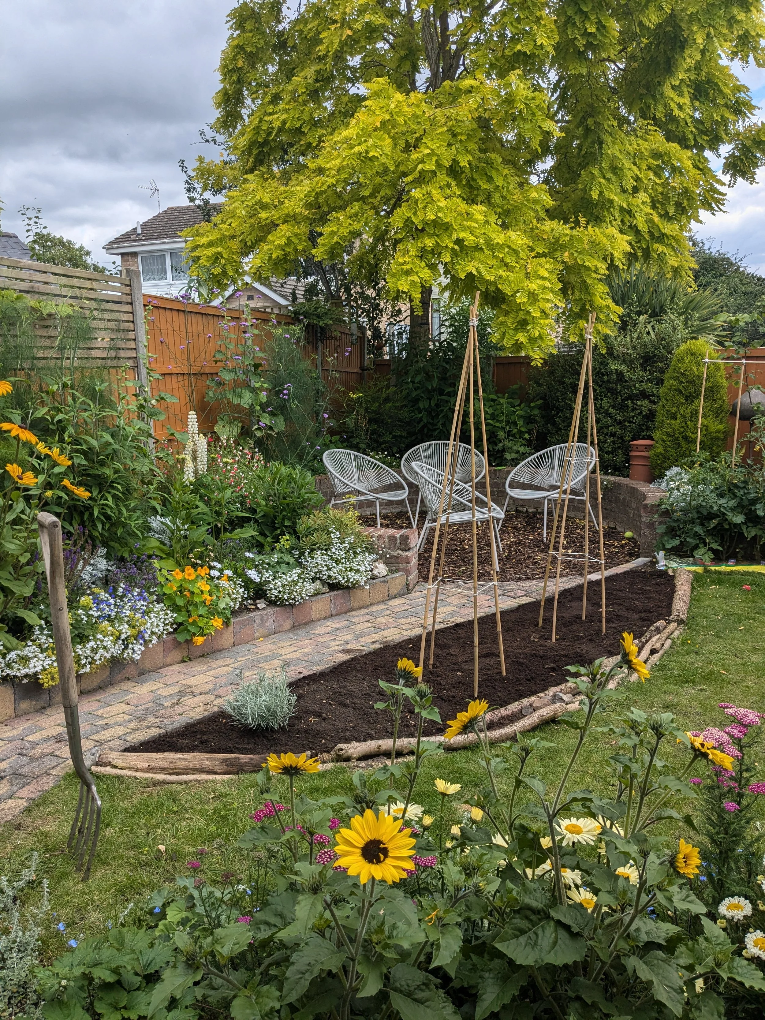 A backyard garden with yellow and white flowers, a paved brick path, a large leafy tree, and outdoor furniture including chairs and supports for plants, with a suburban house and cloudy sky in the background.