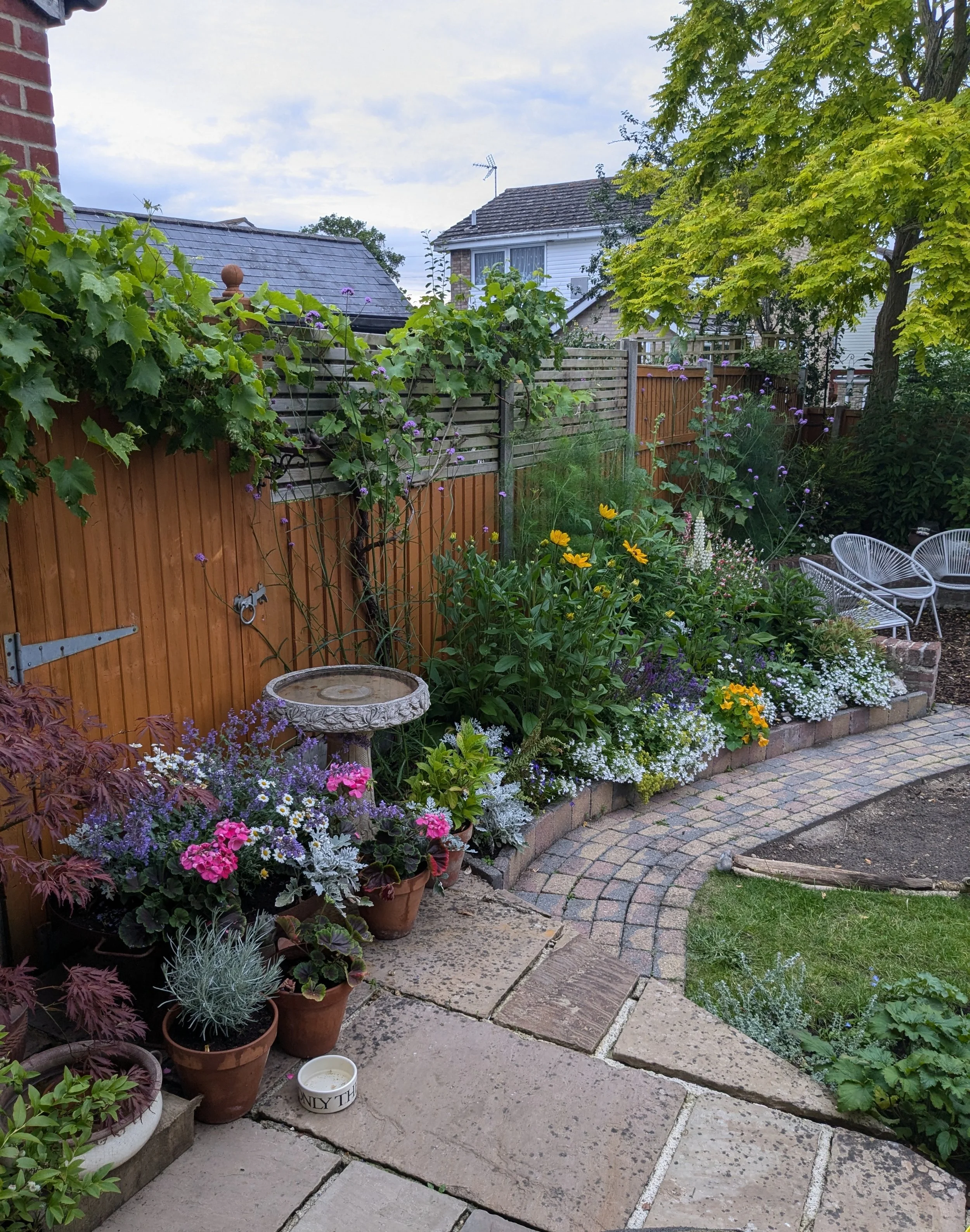 A backyard garden with numerous potted plants and flowers, a wooden fence, a brick and a white house in the background, and chairs on the right.