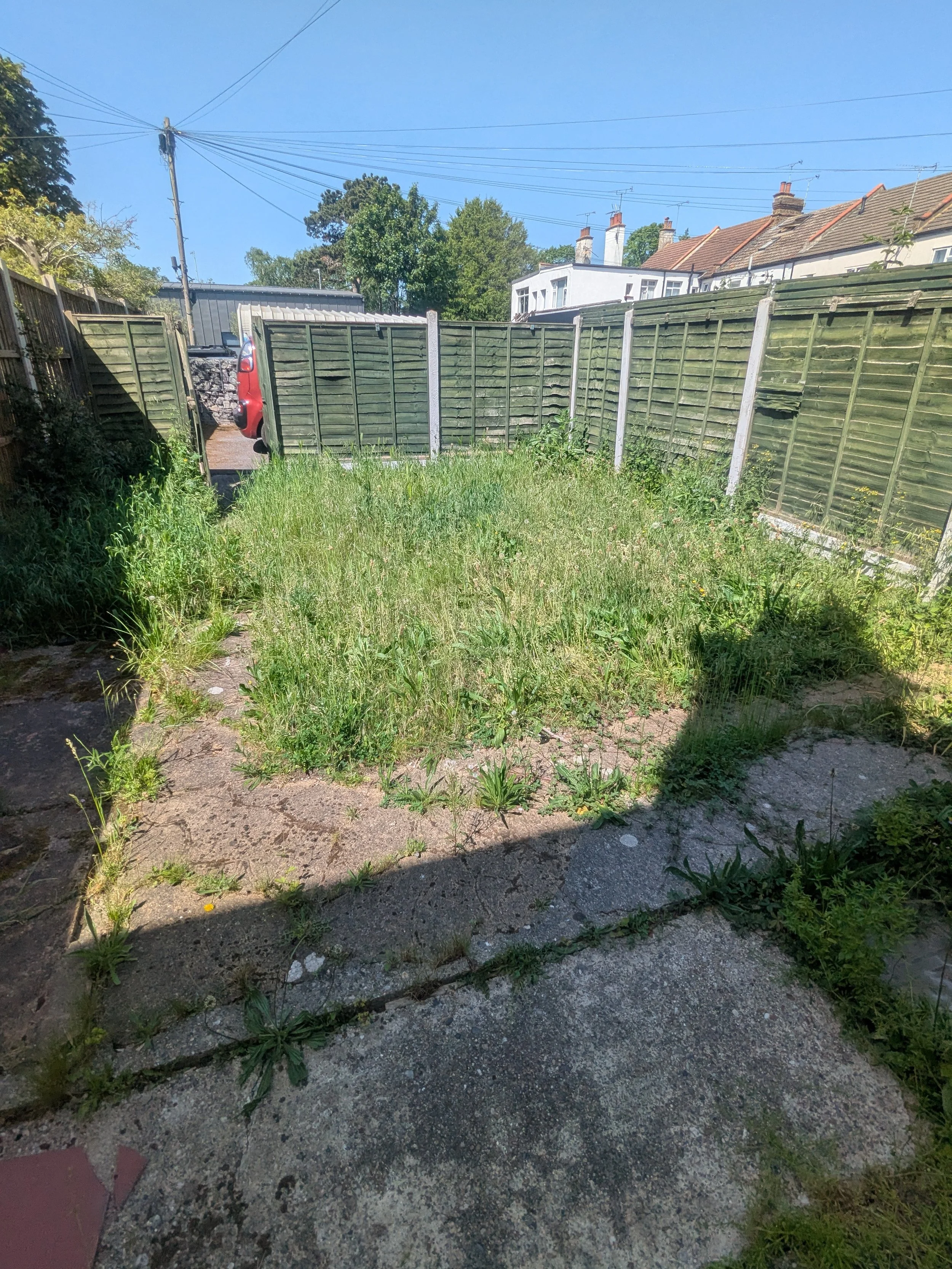 A small backyard with overgrown grass and weeds, a concrete path, a wooden fence with some panels leaning or damaged, and houses with chimneys and antennas in the background under a clear blue sky.