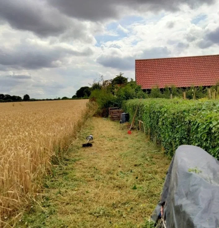 A narrow grassy path running between a golden wheat field on the left and green hedges and trees on the right, leading towards a house with a red-tiled roof under a cloudy sky.