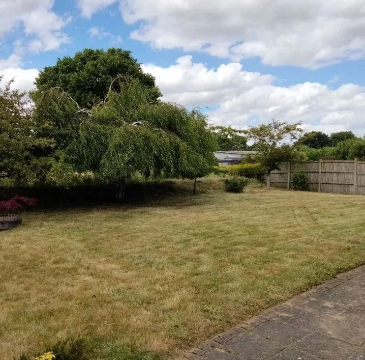 A backyard with a grassy lawn, trees, a wooden fence, and a partly cloudy sky.