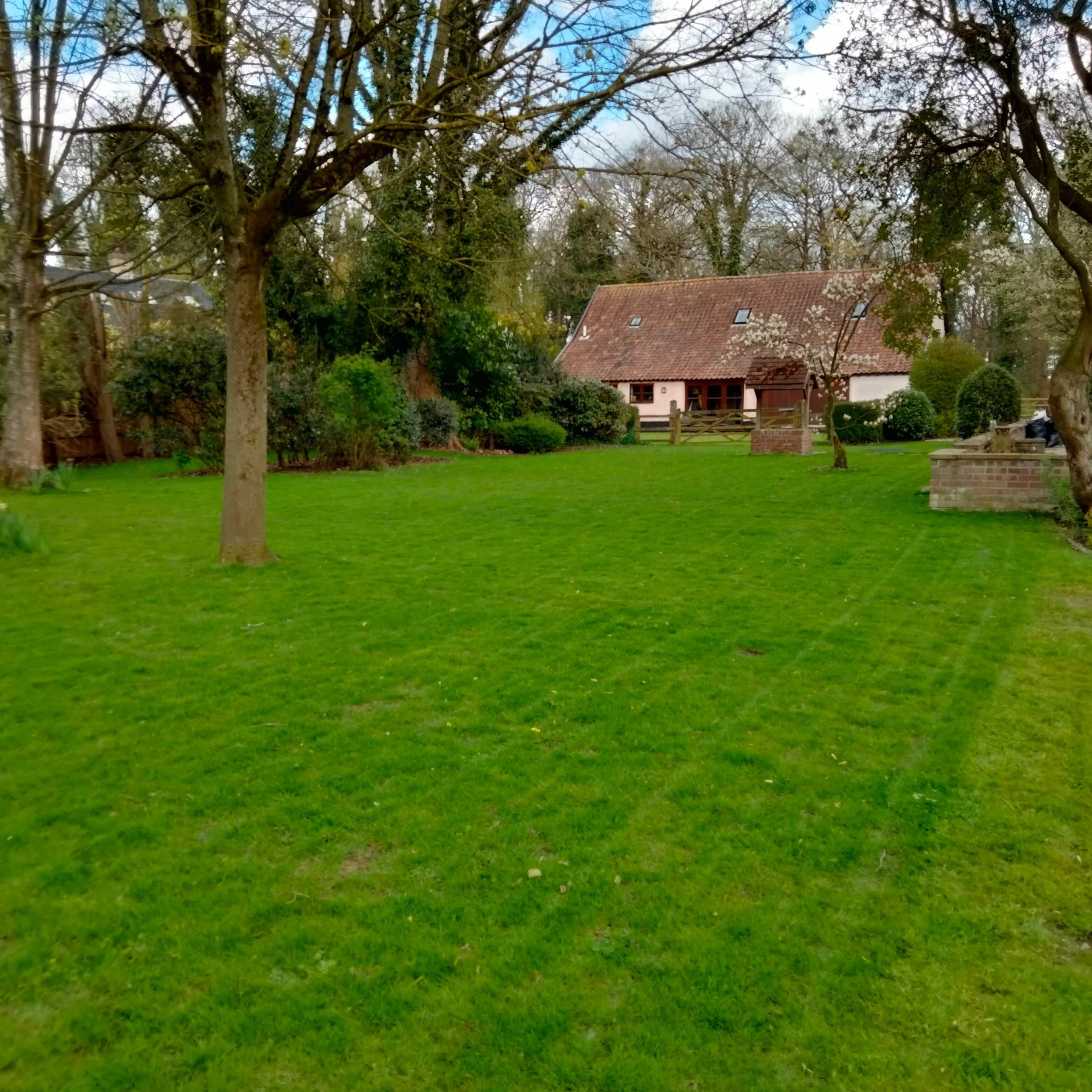 A backyard scene with lush green grass, several trees with budding leaves, and a house with a sloped roof and skylights.
