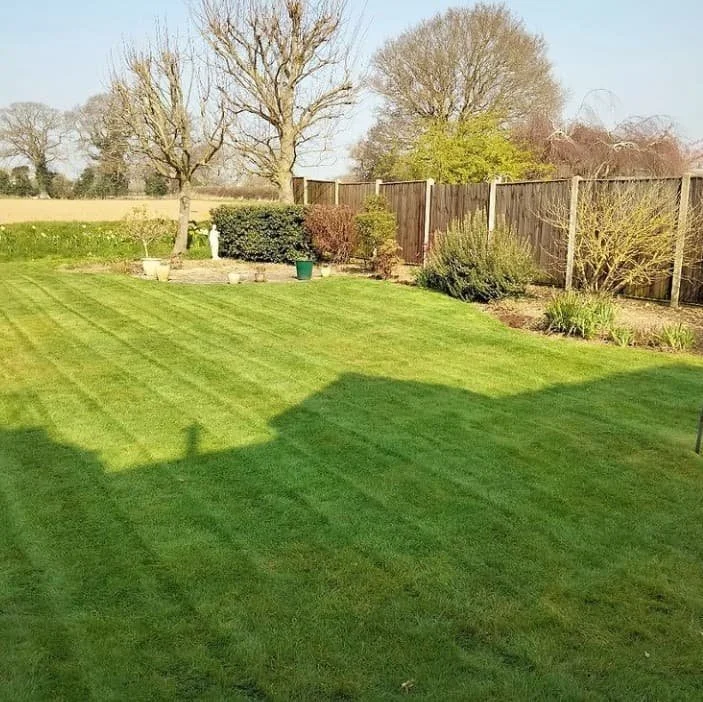 Well-maintained backyard with lush green grass, a wooden fence, and various shrubs and trees, under a clear sky.