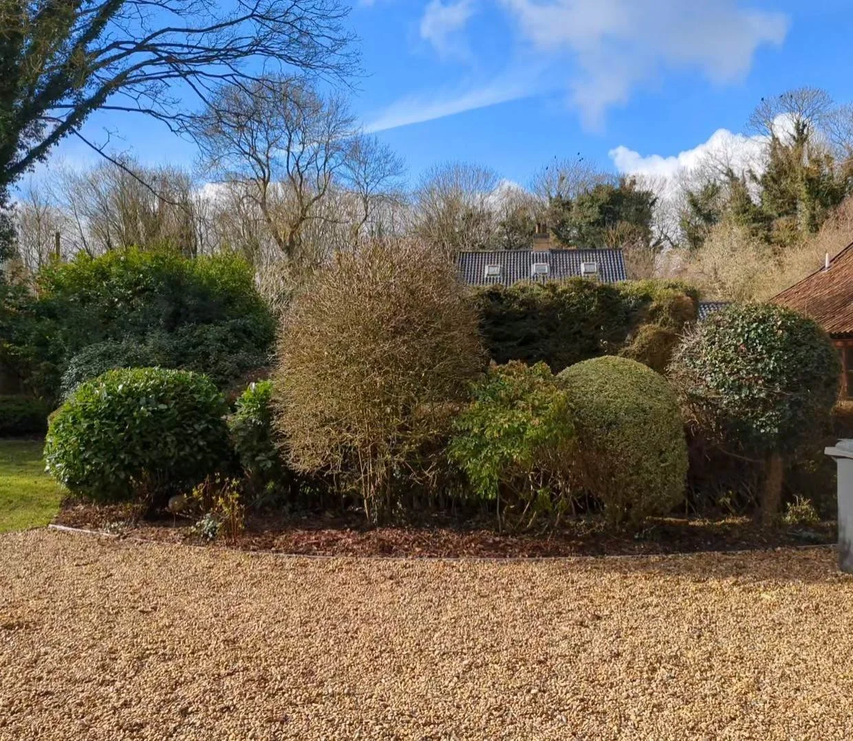 A garden with various shrubs and bushes in the foreground, a gravel path at the bottom, a house with a dark roof in the background, and a bright blue sky with some clouds overhead.