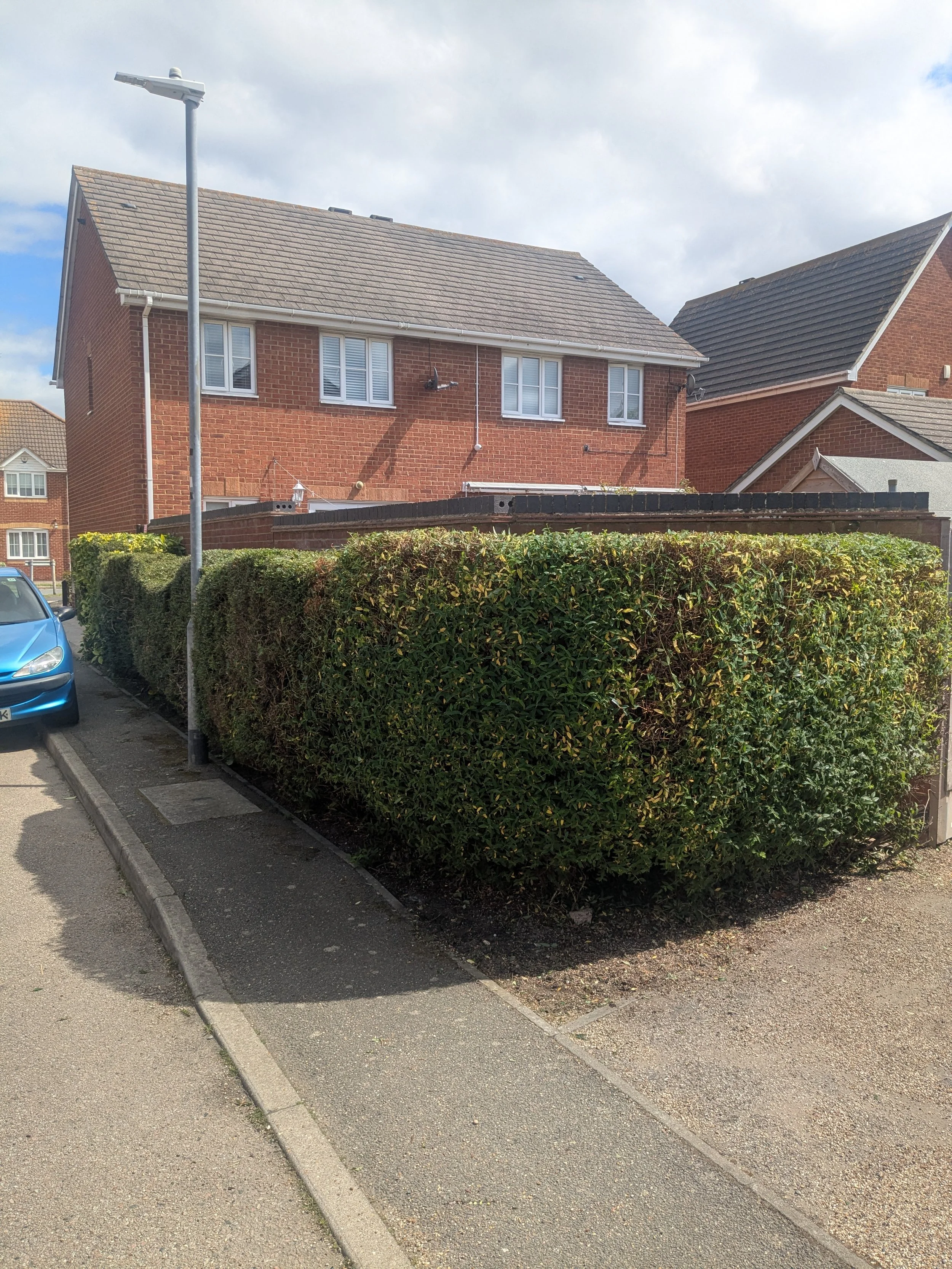 A brick house behind a tall green hedge, with a sidewalk and parked blue car in the foreground. A street lamp is next to the hedge. The sky is partly cloudy.