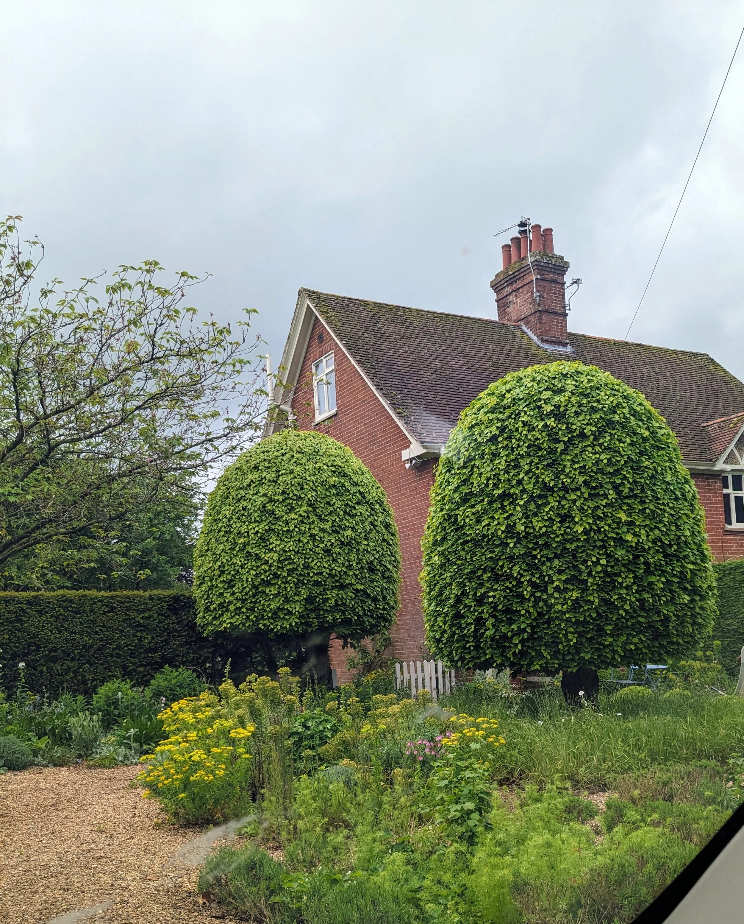 View of a red brick house with a moss-covered sloped roof, brick chimney with several red clay pipes, trees, and a garden with yellow and purple flowers, seen from a car window.