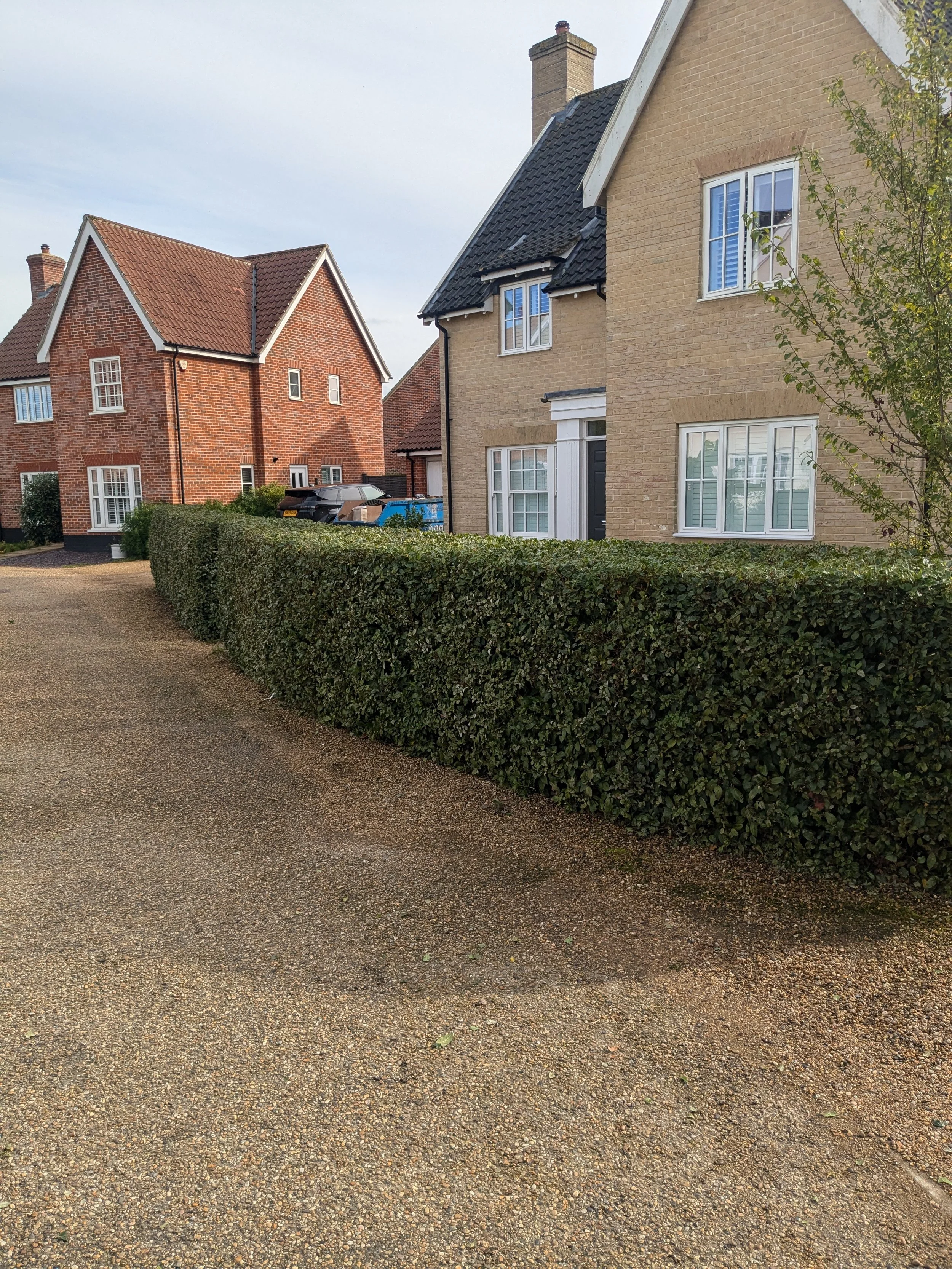 View of a residential street with two houses, a hedge, and parked cars, under an overcast sky.