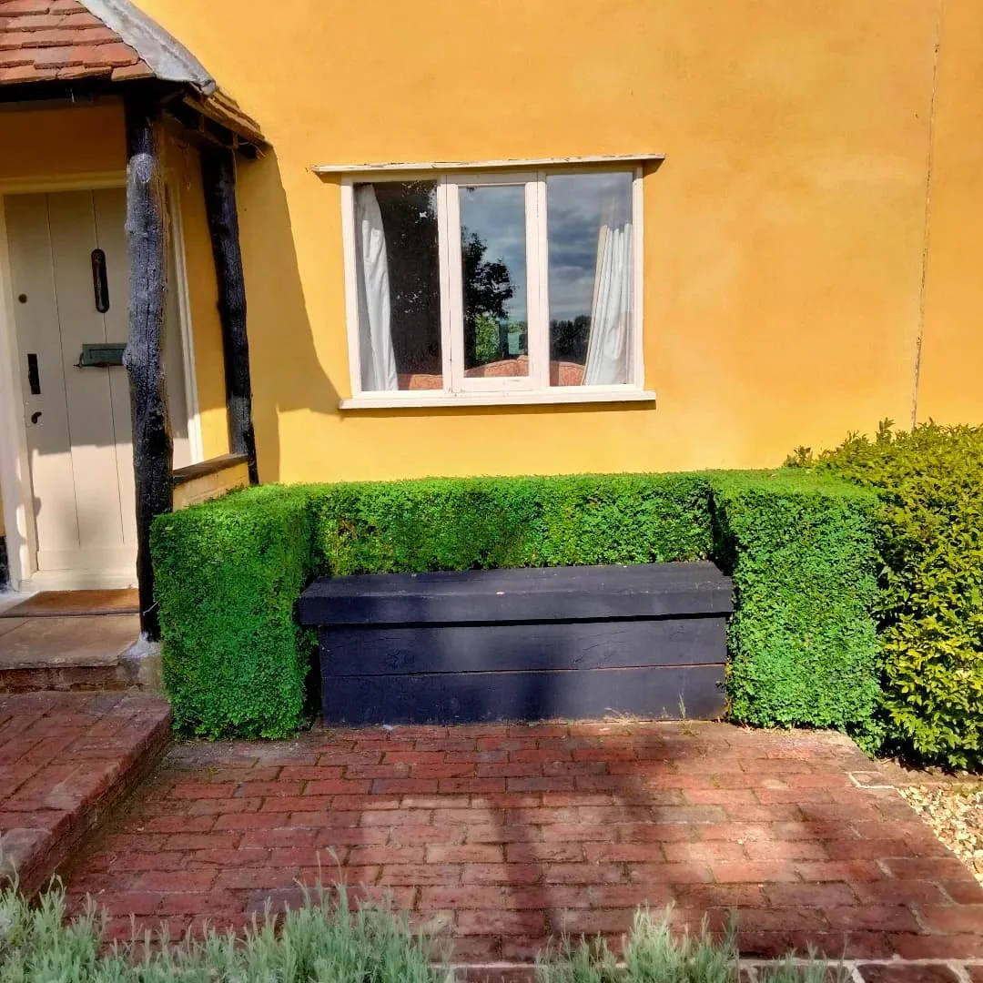 Box hedging trimmed to shape