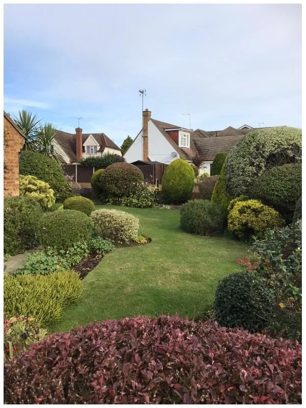 Lawn mown and maintained, shrubs and hedging trimmed to shape