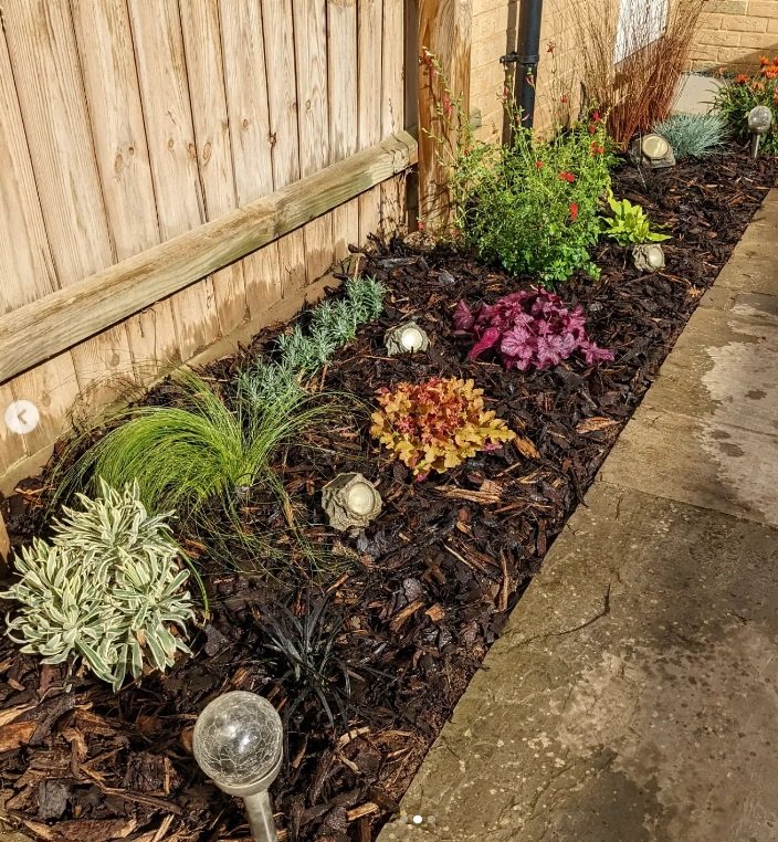 Mixed border re planted & mulched