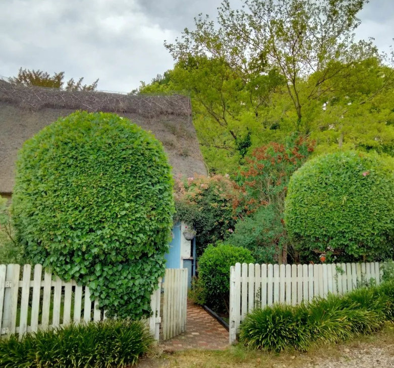 Tree shaping