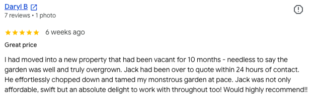 Screenshot of a Google review by Daryl B praising a landscaper for their work on overgrown garden.