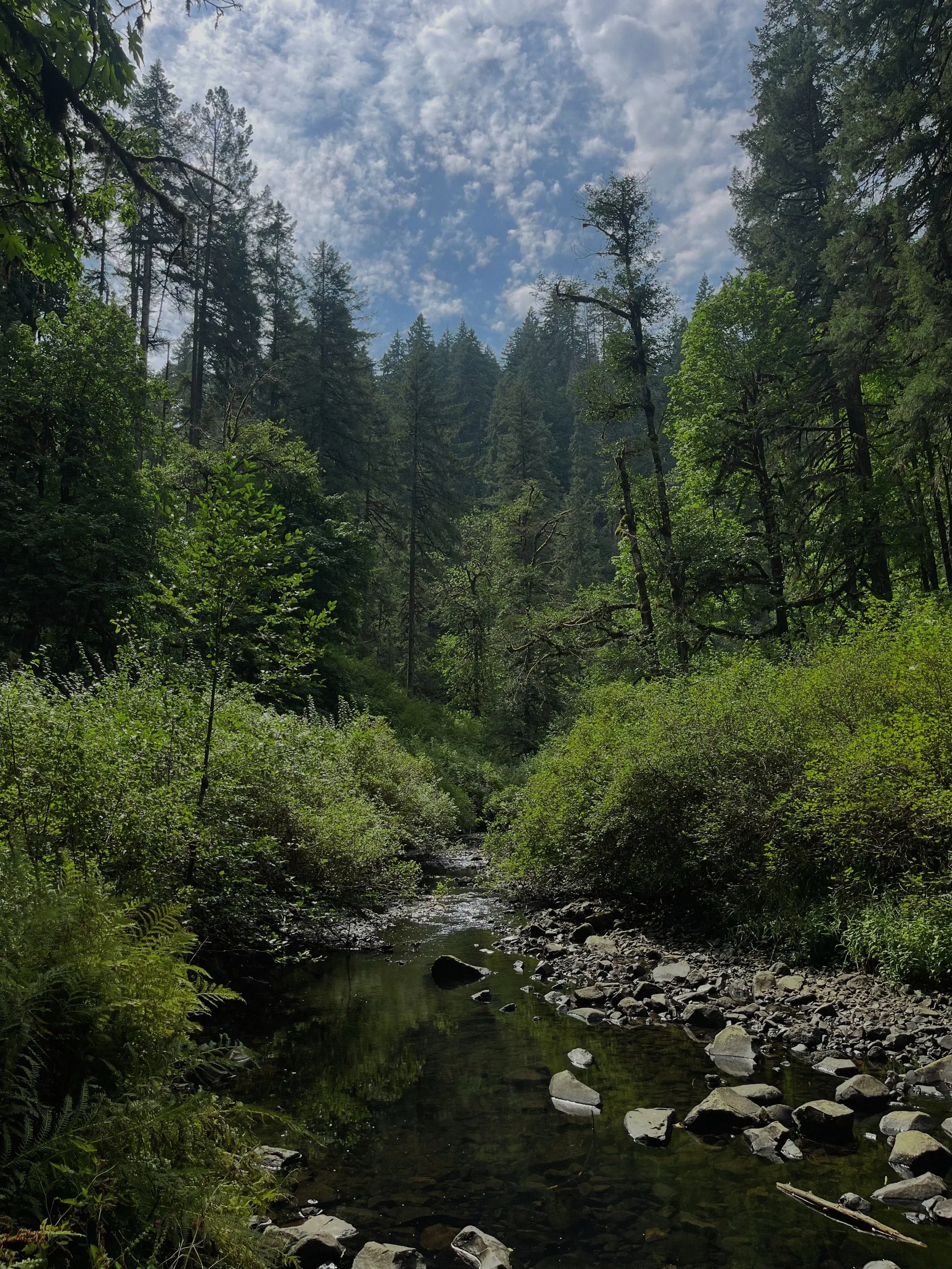 this trip shifted our marriage

Late August last year, my husband &amp; I took 9 days to celebrate our first year married a few weeks early, &amp; explored Oregon and the beautiful Pacific Northwest

Nine days of adventure, breathtaking views, discon