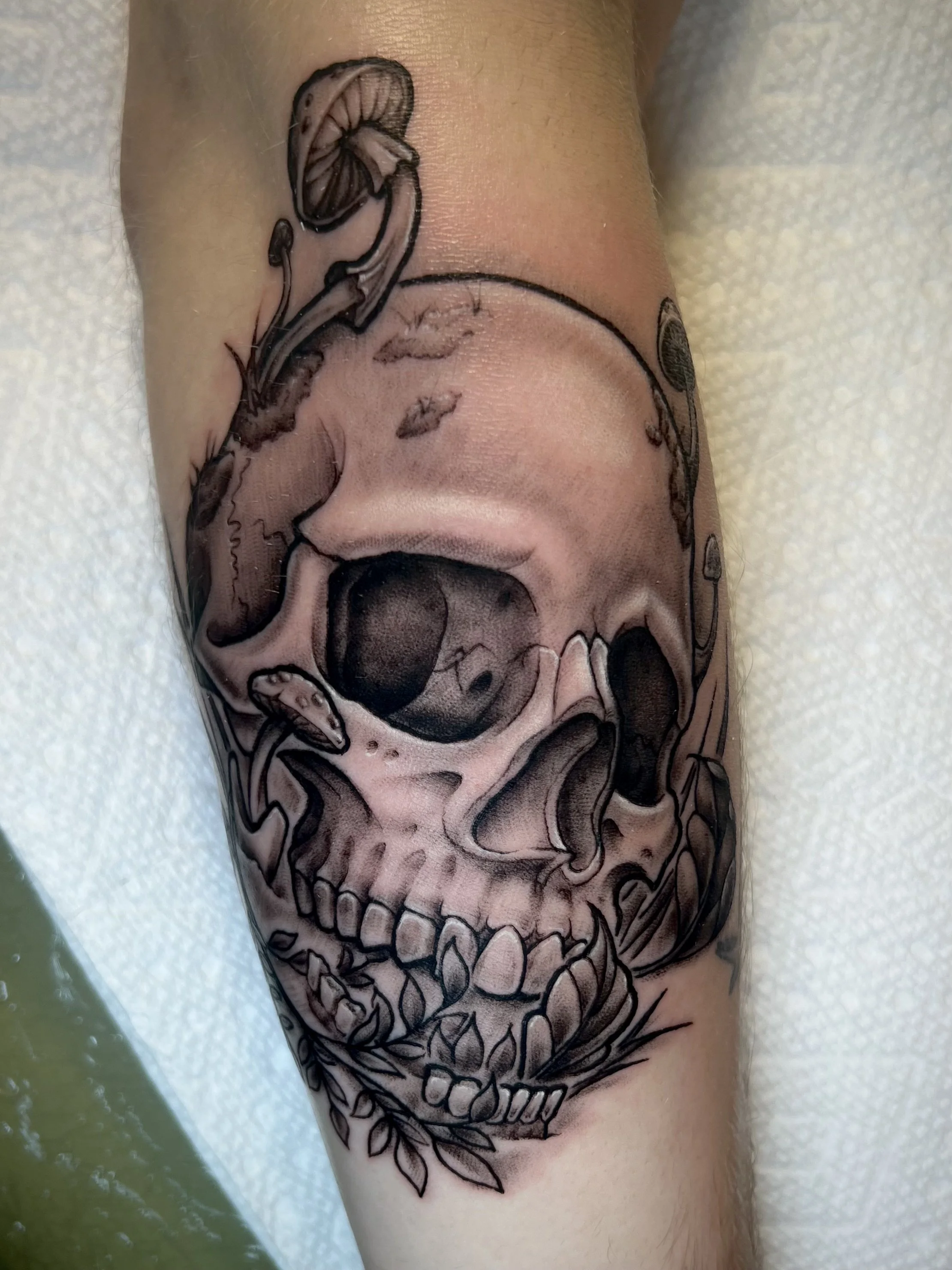 A tattoo of a human skull with mushroom elements on a person's forearm.