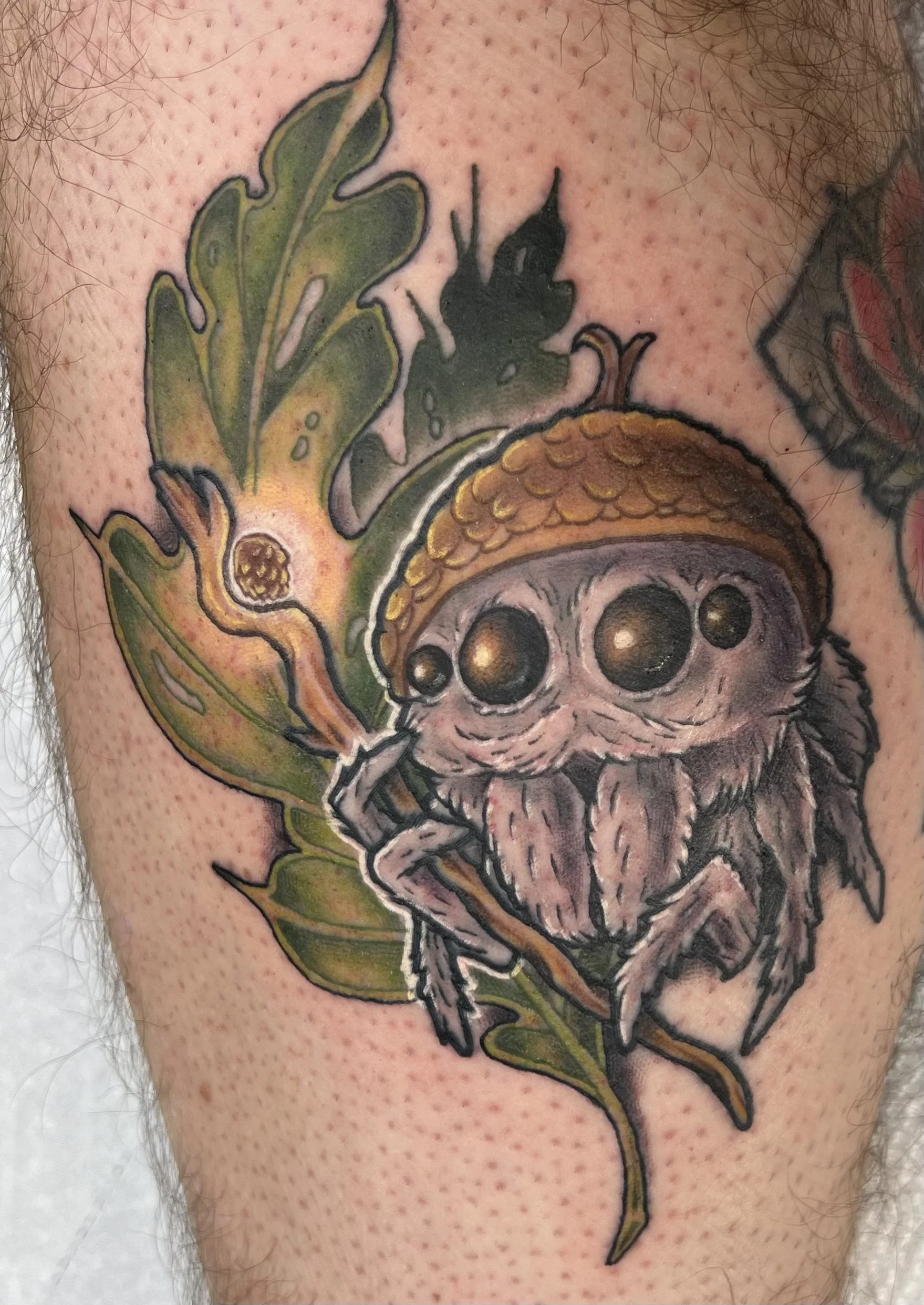 Colorful tattoo of a leaf and a wizard spider on a person's skin.
