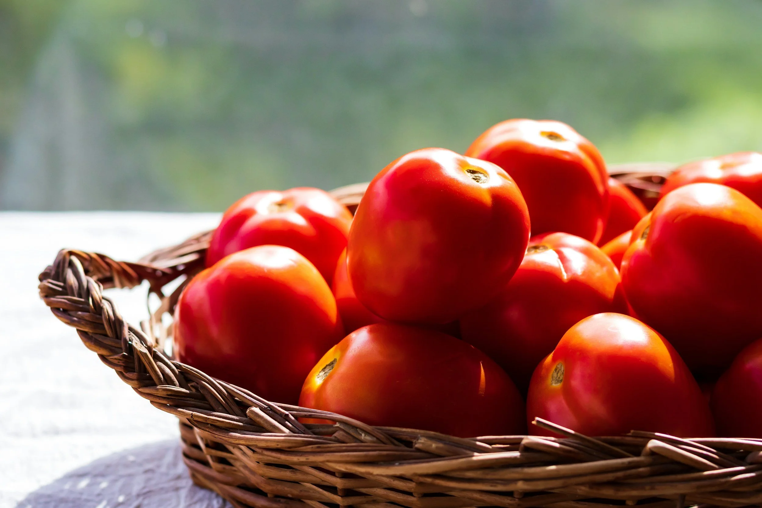 A basket of red and yellow tomatoes sitting on a white surface with a blurred green background.
