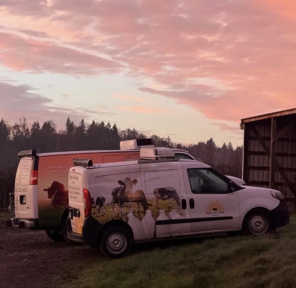 A white van with cow images on it parked on grass near a barn at sunset with pinkish clouds in the sky.