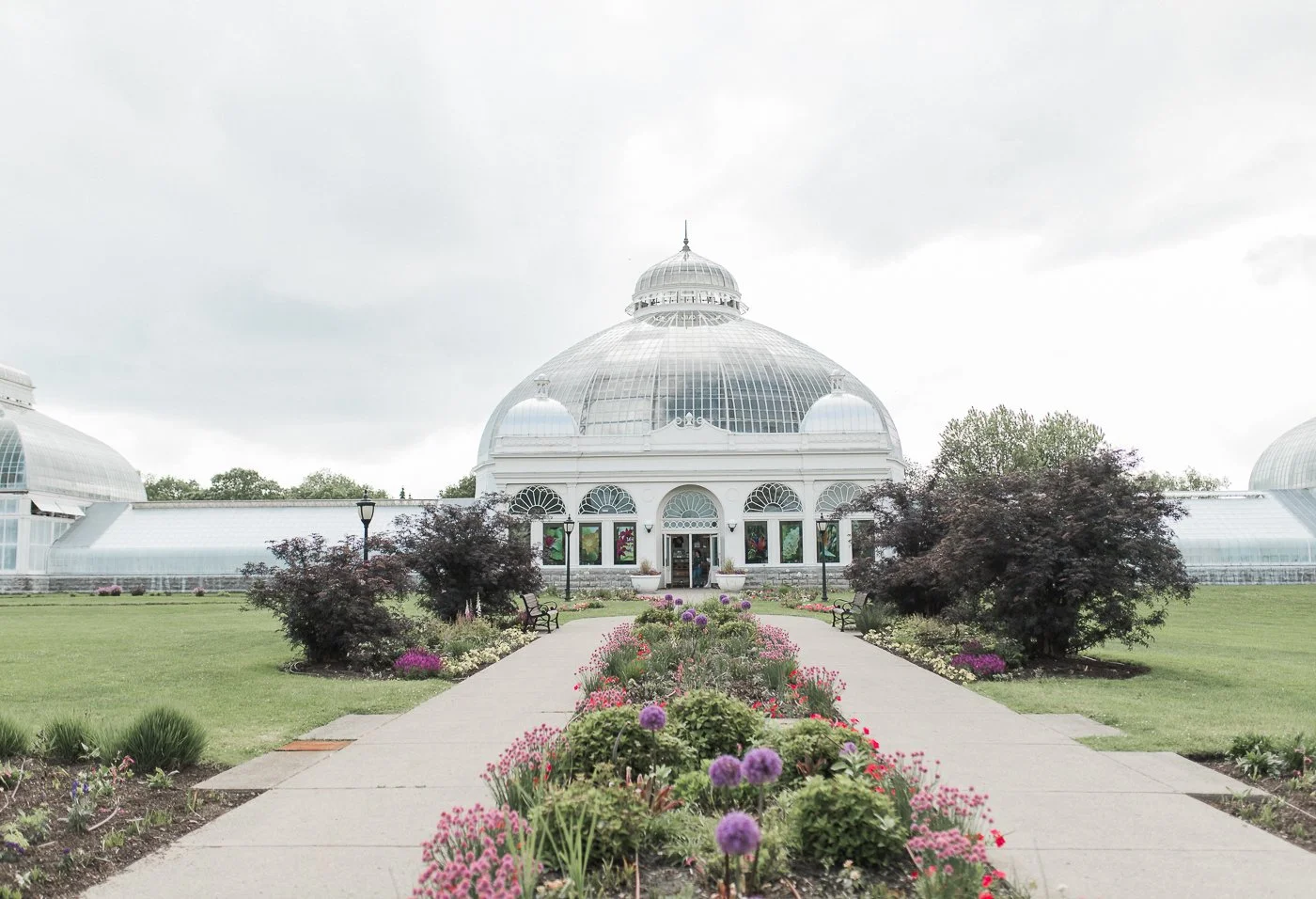 BuffaloBotanicalButterflyExperience-3.jpg