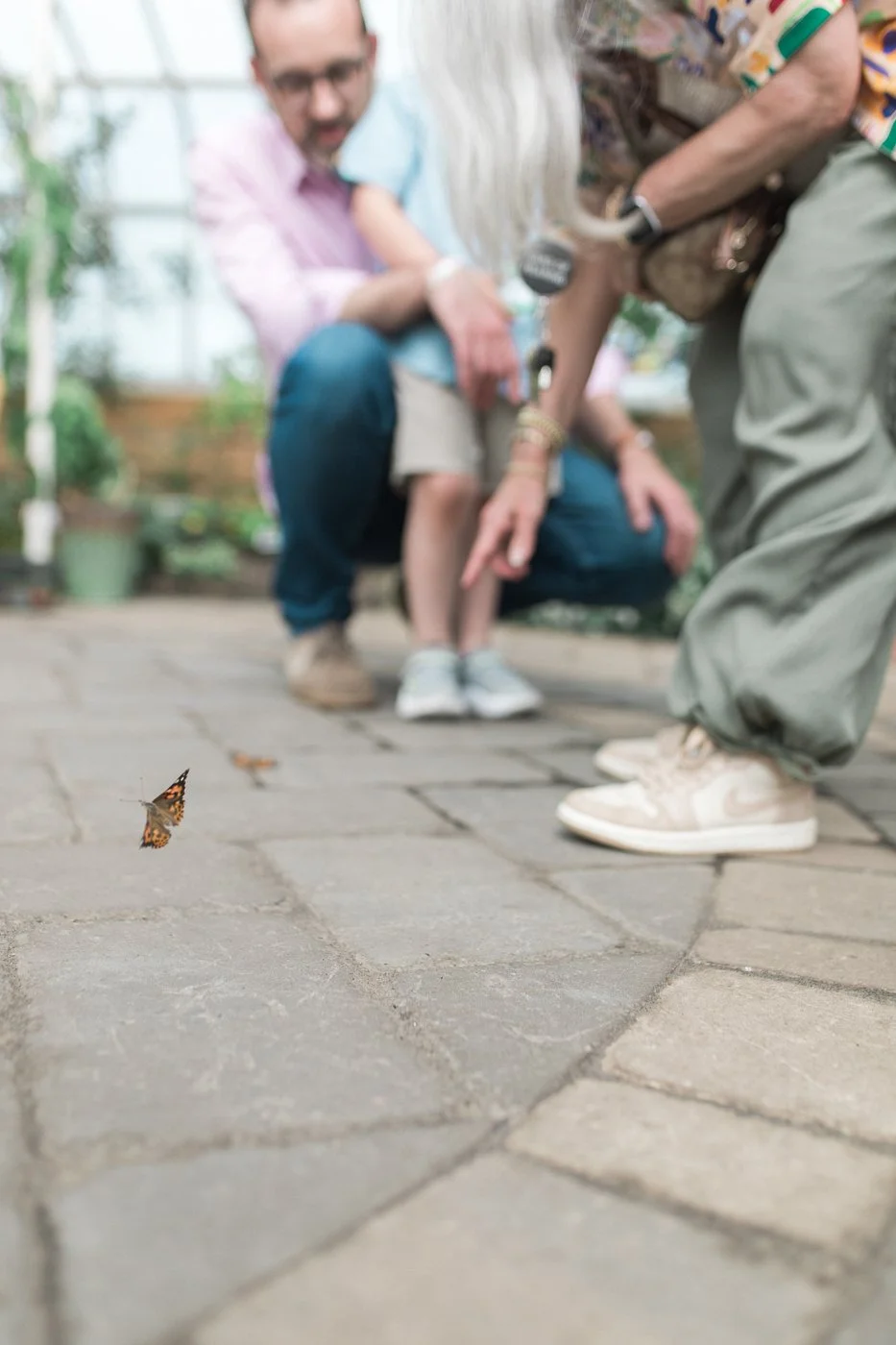 BuffaloBotanicalButterflyExperience-19.jpg