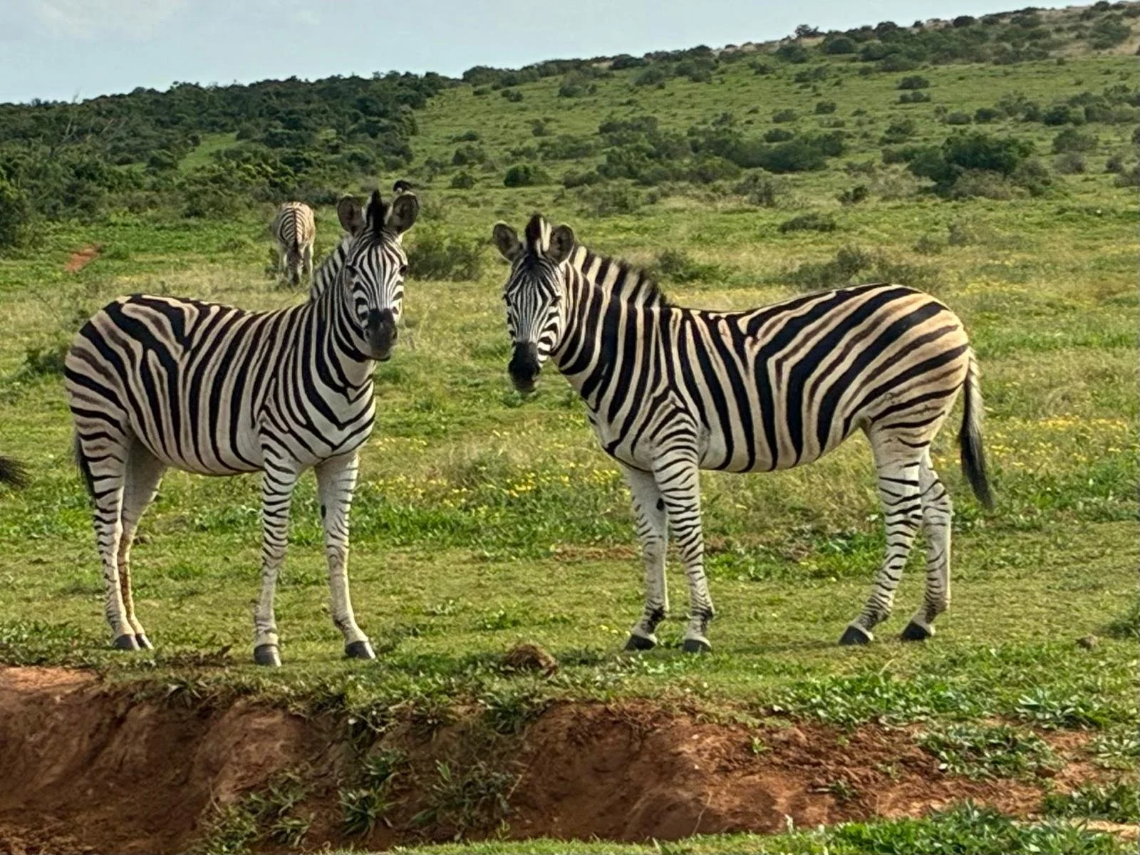 A Big 7 Adventure from Port Elizabeth