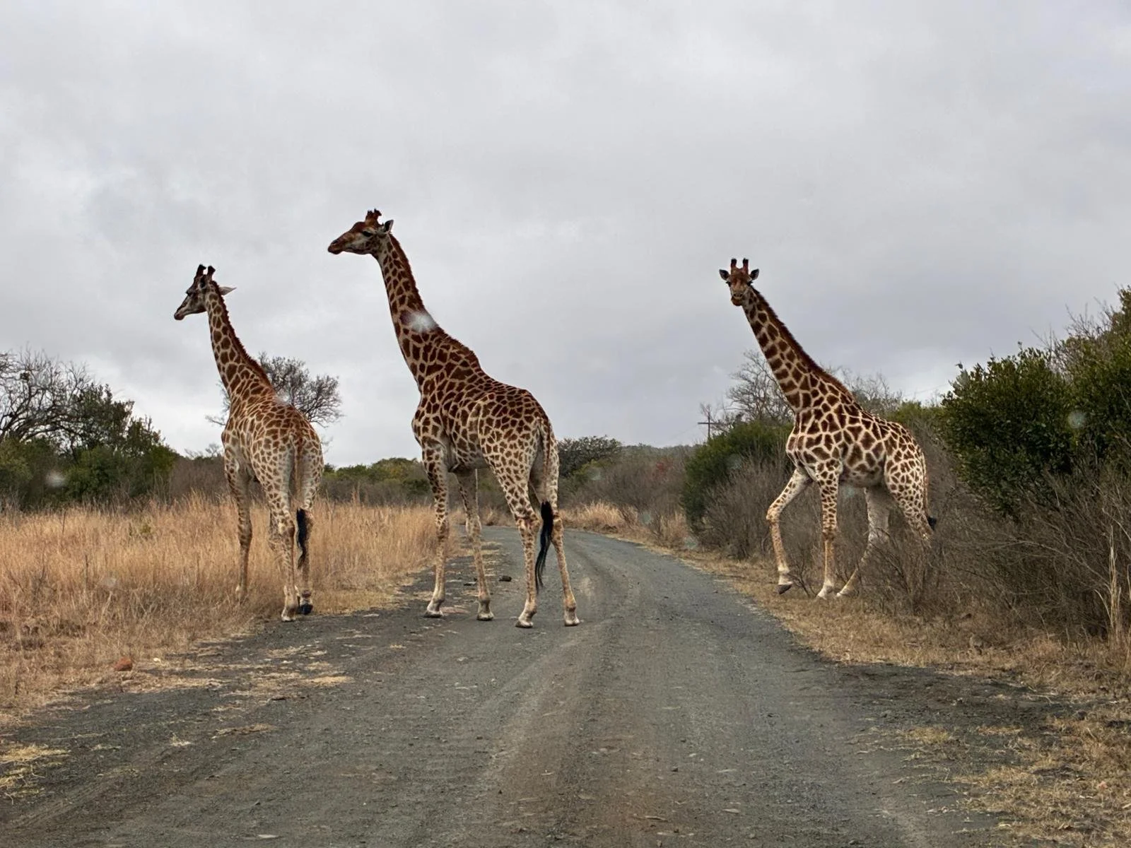 Fugitives' Drift and the Battlefields of Isandlwana and Rorke's Drift