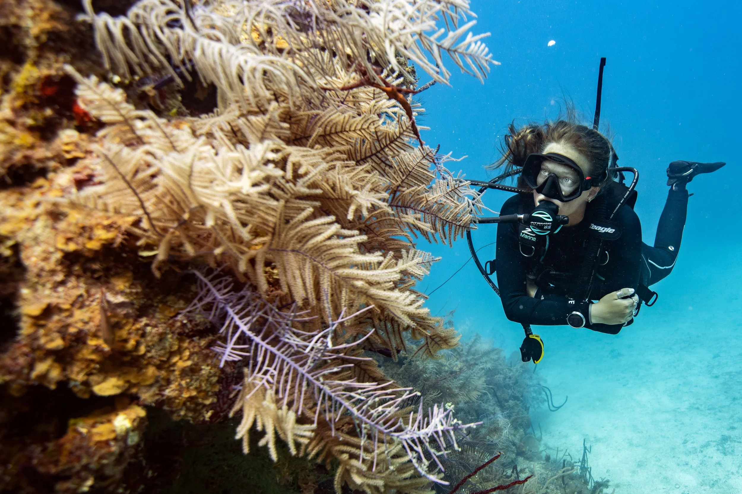 female scuba diver looking at soft coral