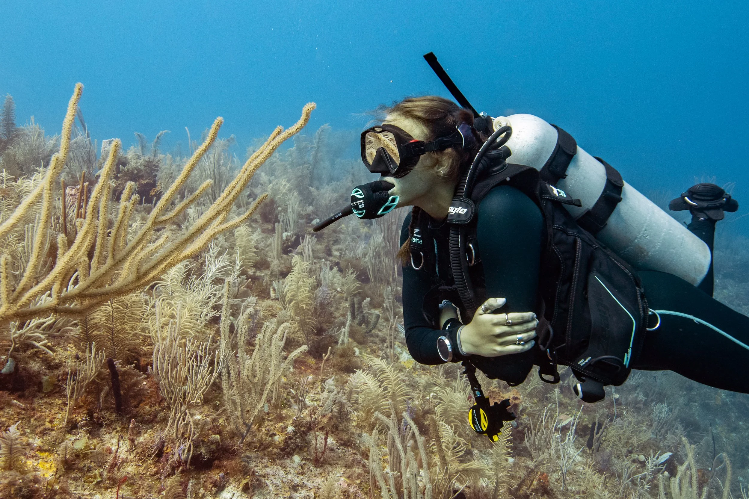 female scuba diver looking at soft coral