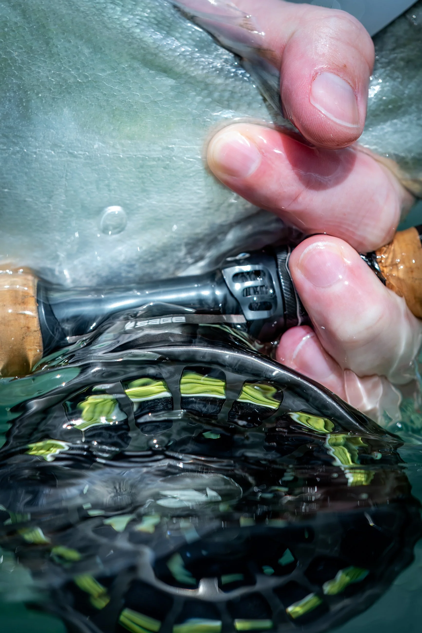 Close-up of a person's hand holding a fish, with a fishing reel visible at the bottom of the image, in water.