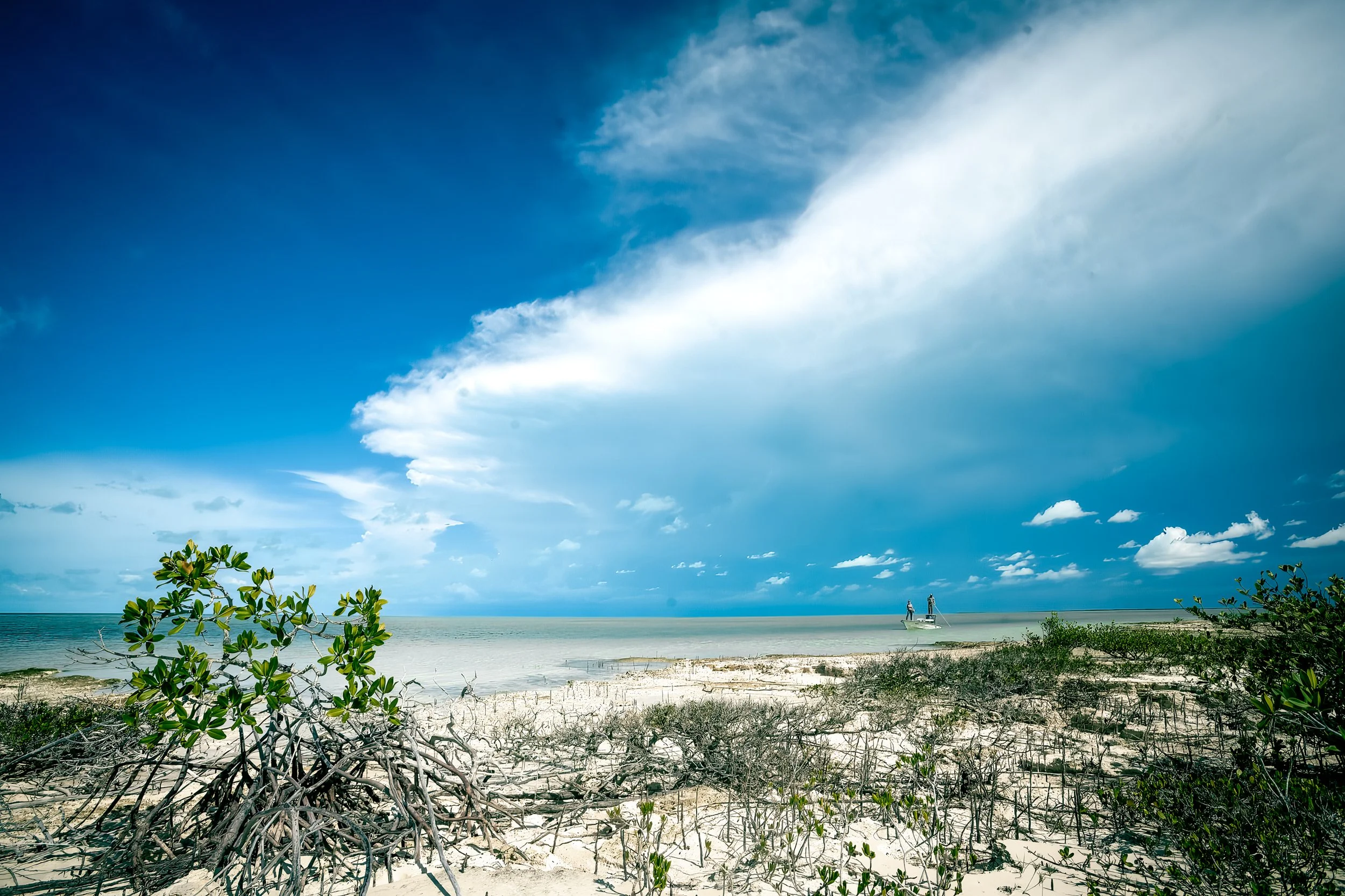 A beach scene with clear blue sky, scattered clouds, sandy shore, some green bushes, and a boat with two people near the water.
