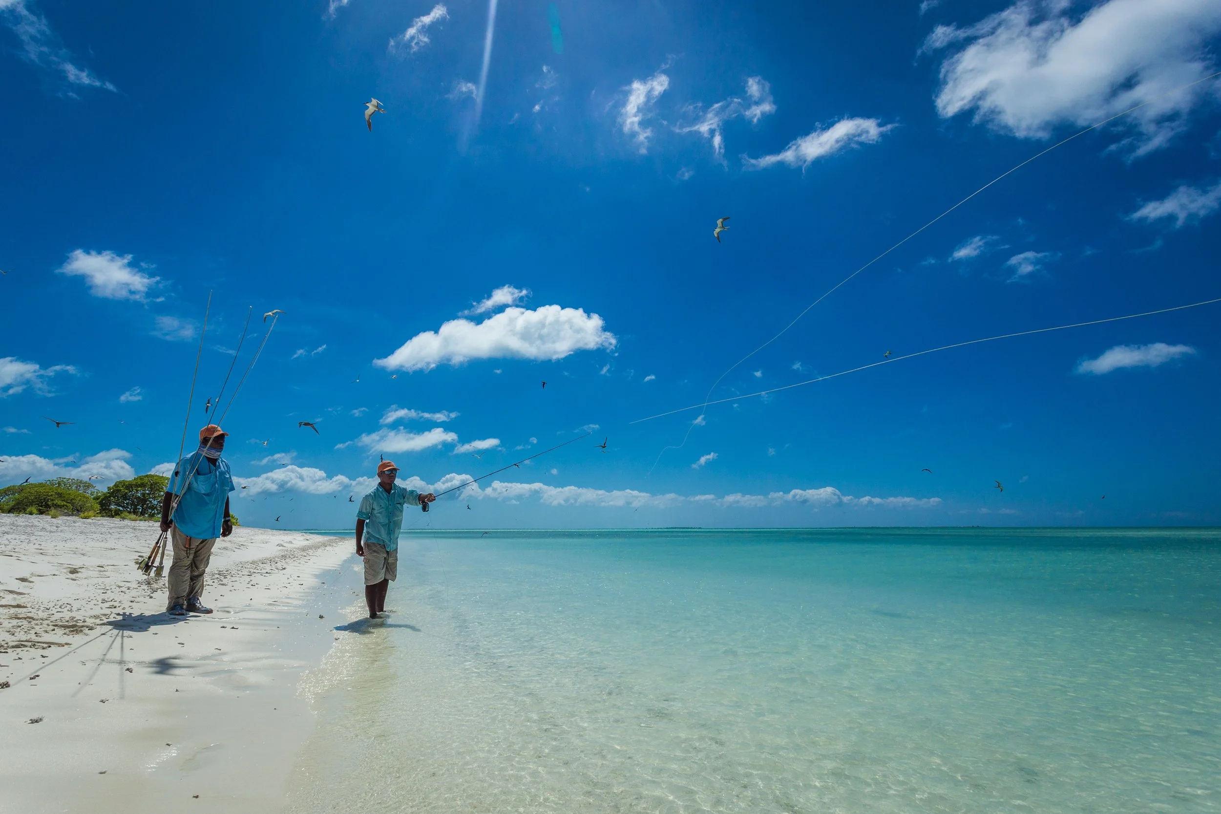Two men walking along a sandy beach with clear turquoise water, flying kites in a blue sky with scattered clouds.