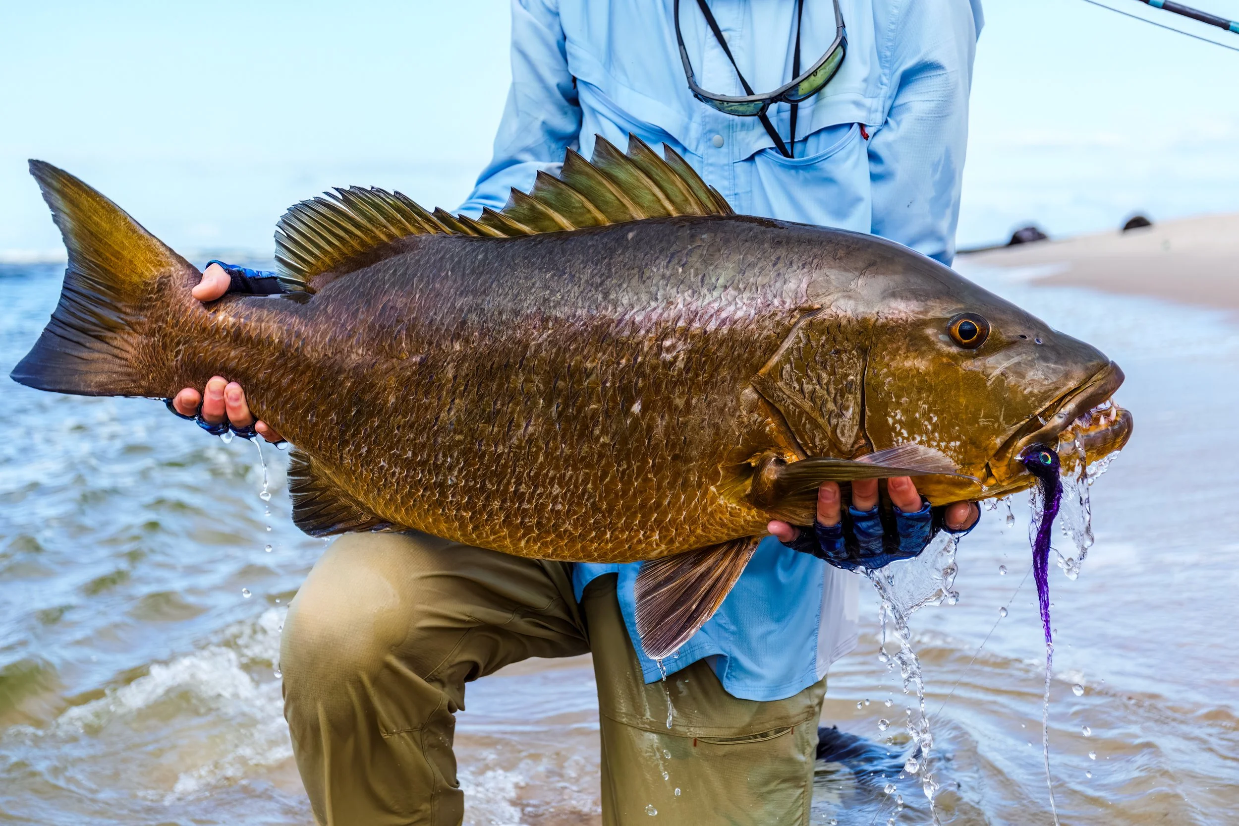 Person holding a large Cubera snapper near the shoreline, wearing outdoor gear and sunglasses, with water and sky in the background.