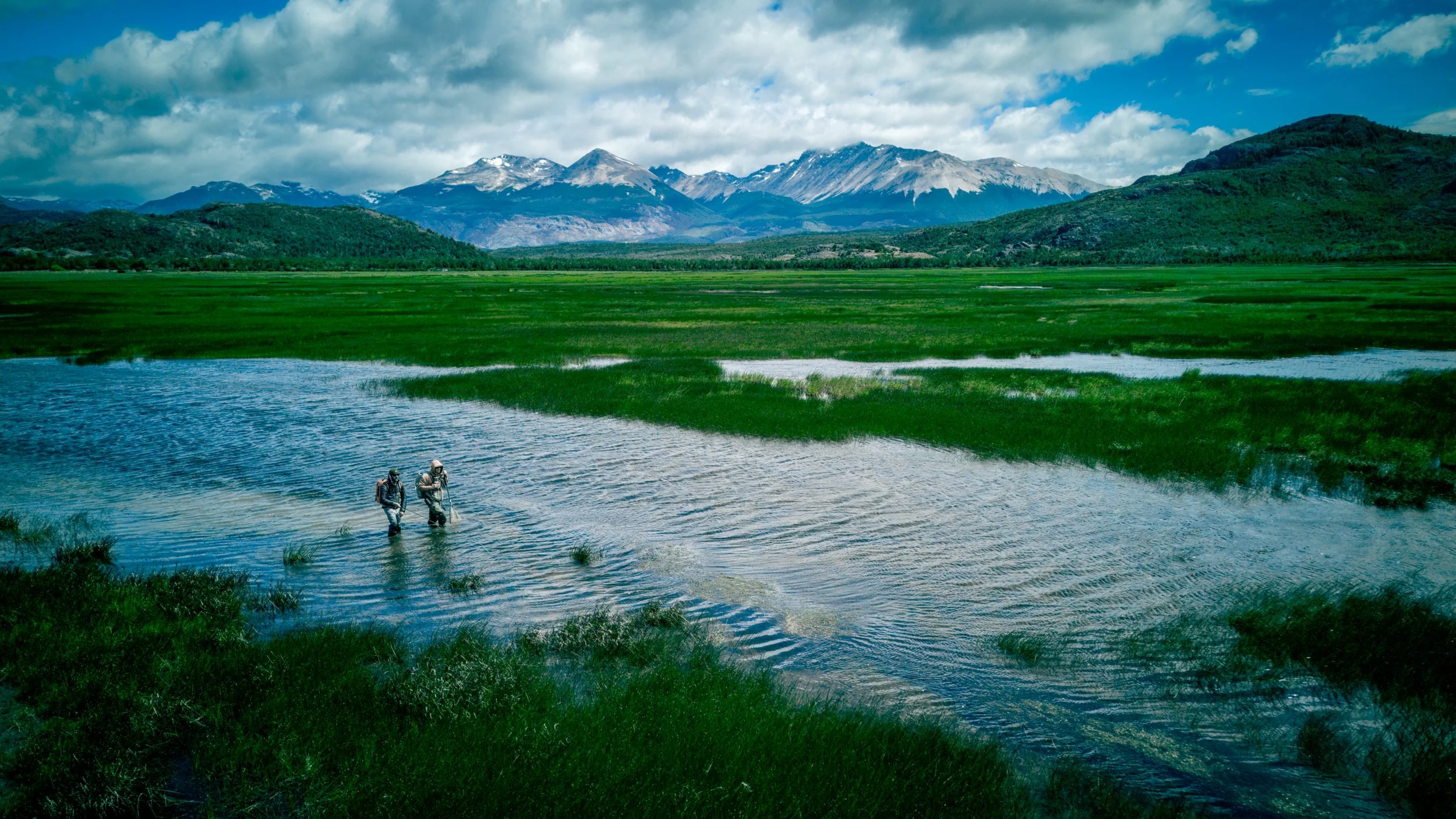 Two people wading in a shallow river surrounded by green grass wetlands in Patagonia, with mountains and a partly cloudy sky in the background.