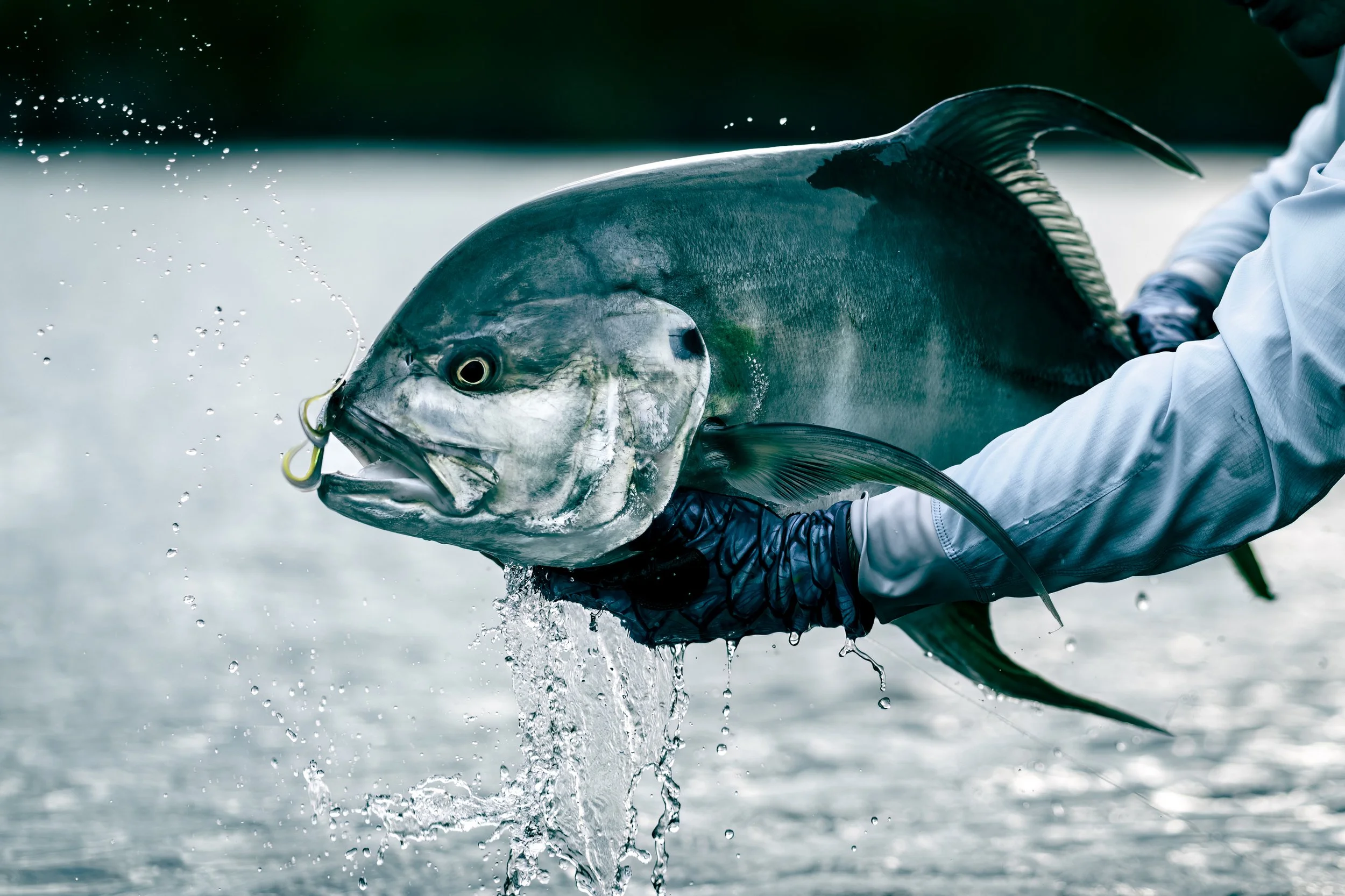 A person holding a large longfin jack with a fly in its mouth, water splashing around during daytime in Gabon, Africa.