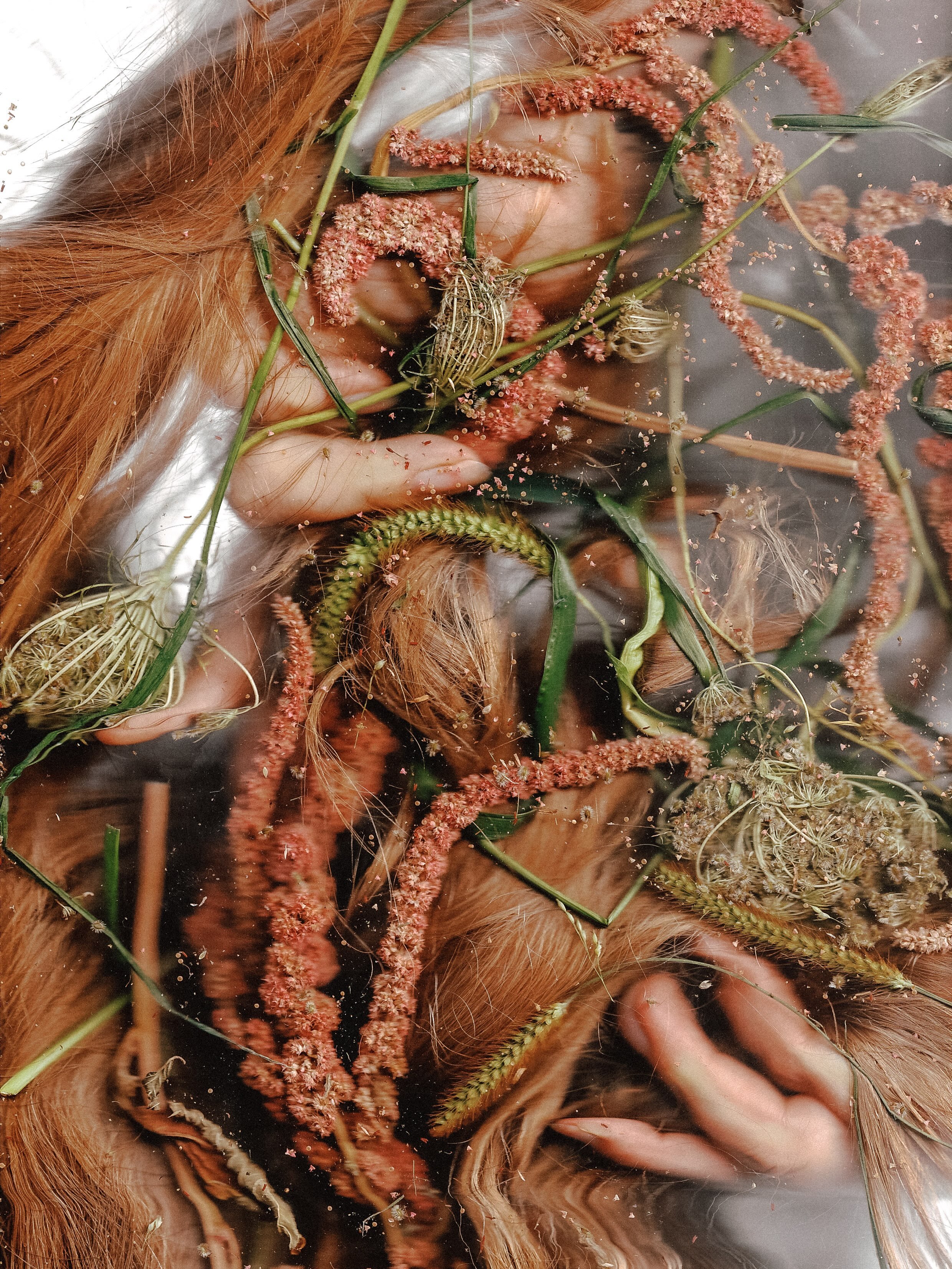 🌾 This method of creating came to me in late spring; a long time admirer of Jenny Saville&rsquo;s work, specifically her C-prints which I discovered while studying at @smfaattufts in the early aughts &mdash; have always lived inside of me, often her