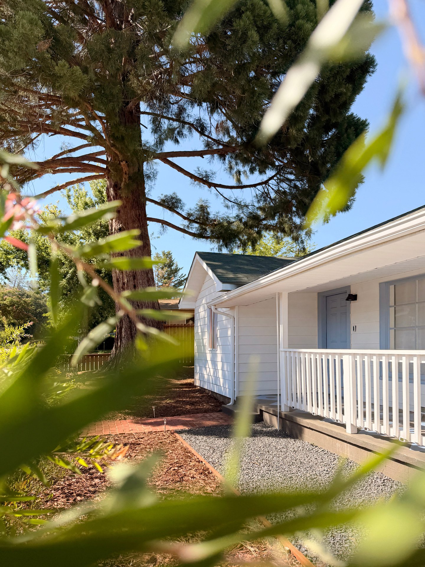 View of a white house with a porch and railing, a tall pine tree in the yard, and a clear blue sky in the background, partially obscured by green foliage in the foreground.