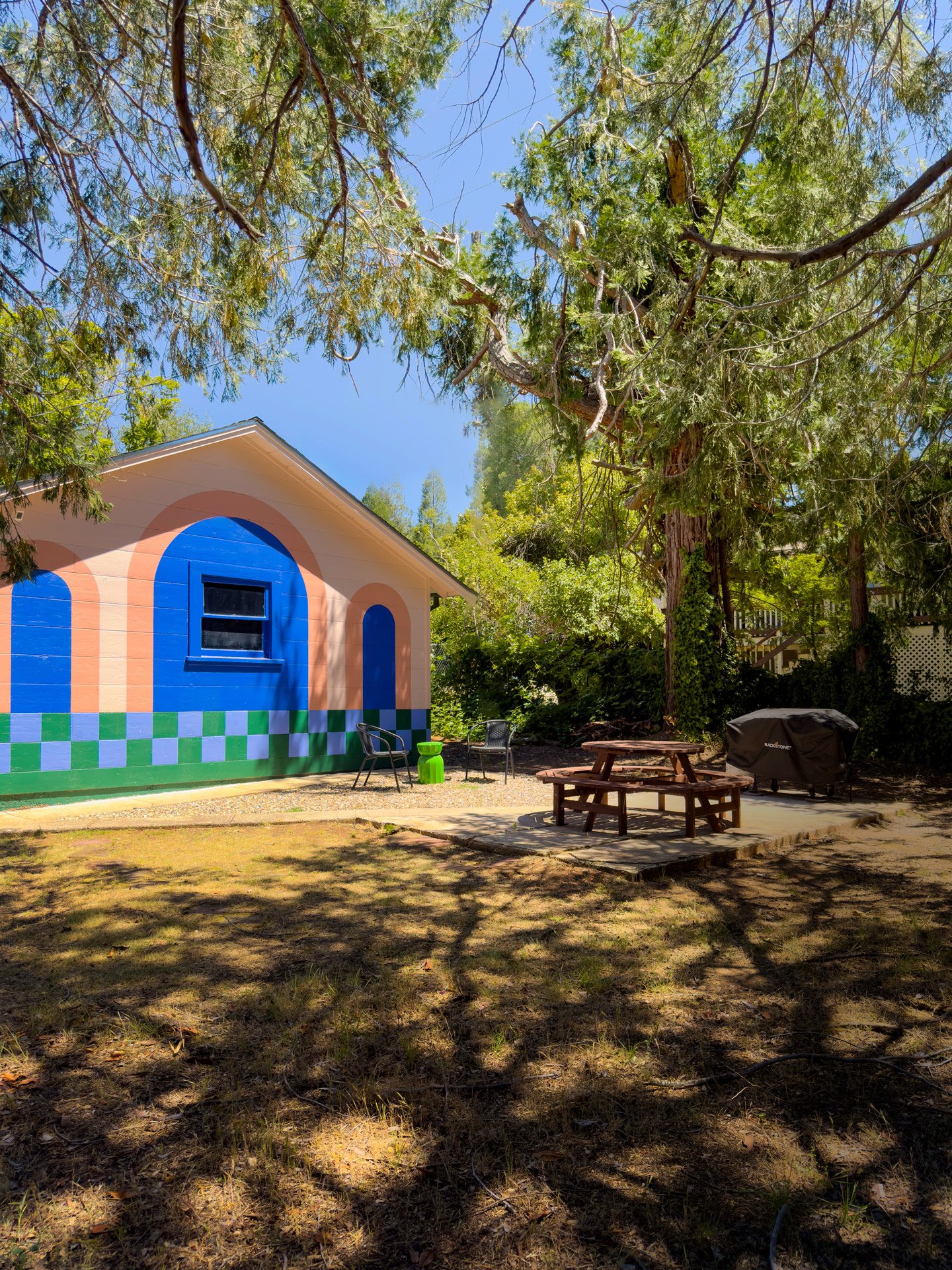 A colorful, painted small building next to a large tree, with outdoor seating including a picnic table, chairs, and a barbecue grill in a backyard setting on a sunny day.