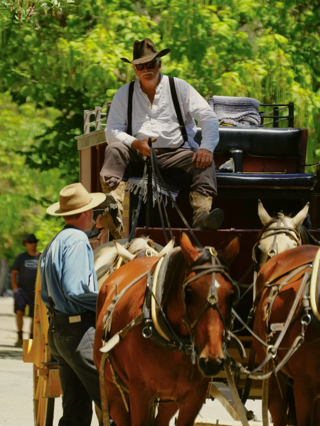 A man with a cowboy hat and sunglasses riding a horse-drawn carriage, with another man in a sun hat guiding the horses, in a green outdoor setting.