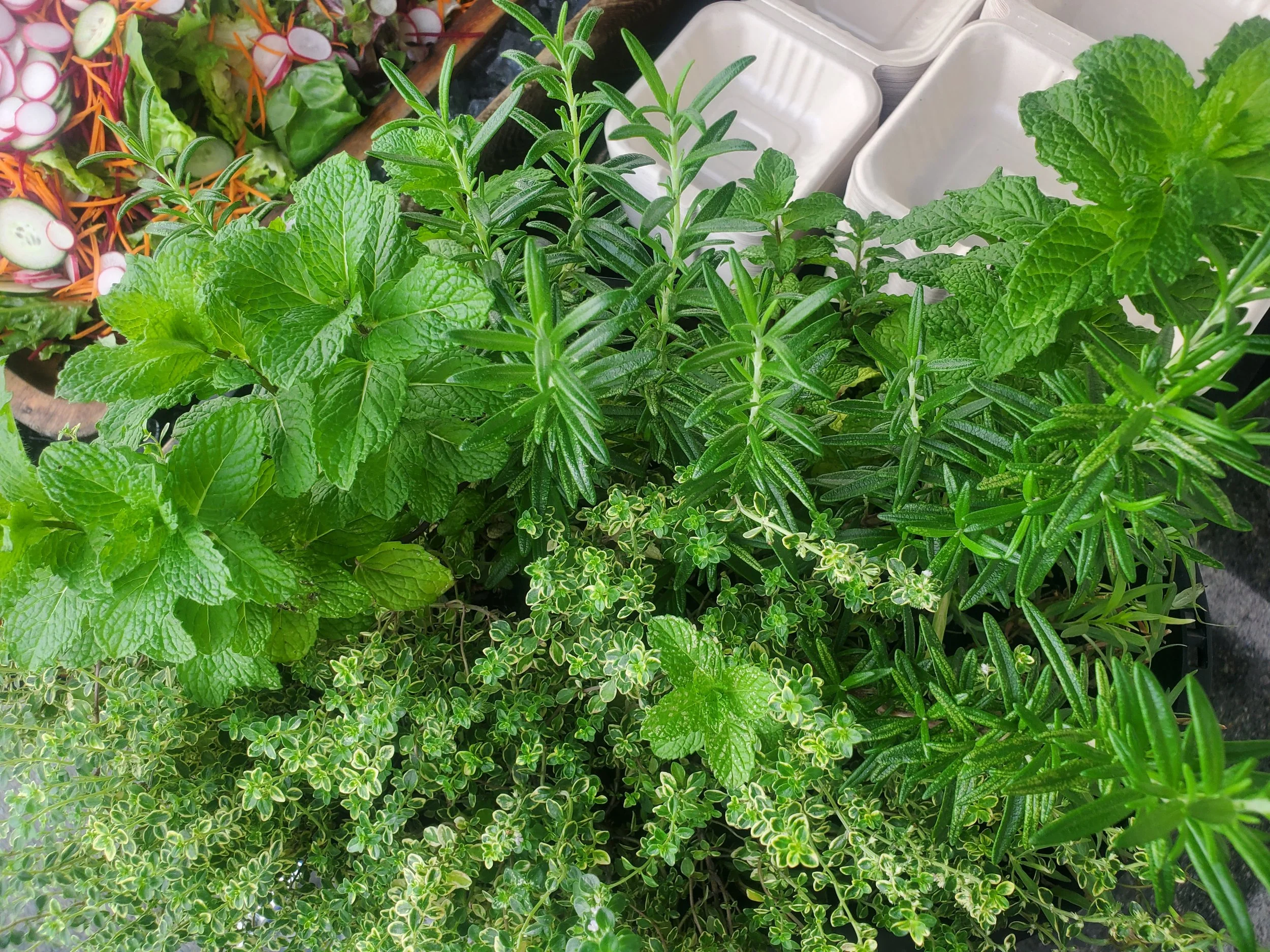 A variety of fresh green herbs including mint, rosemary, and thyme, arranged in a basket with other vegetables and plastic containers nearby.
